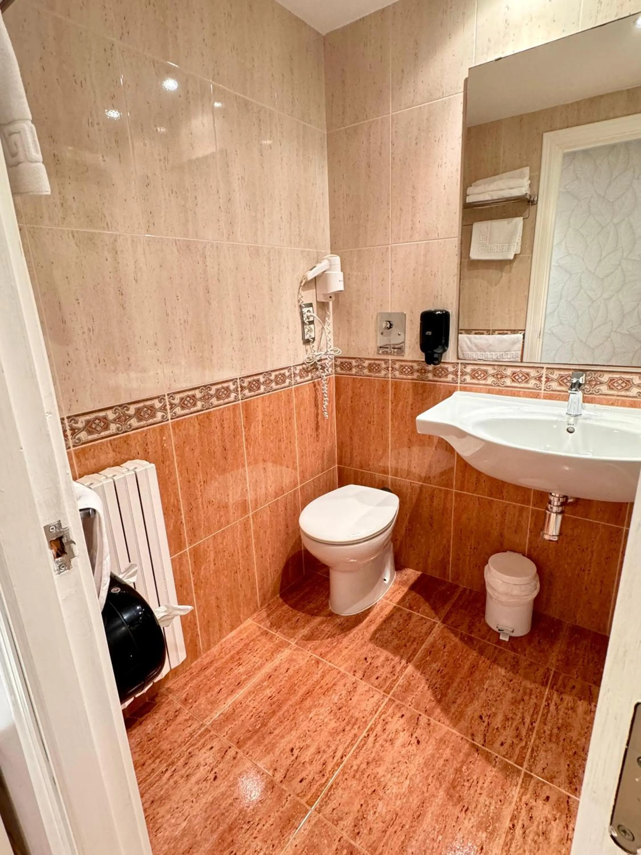 Shower in Hotel El Acebo