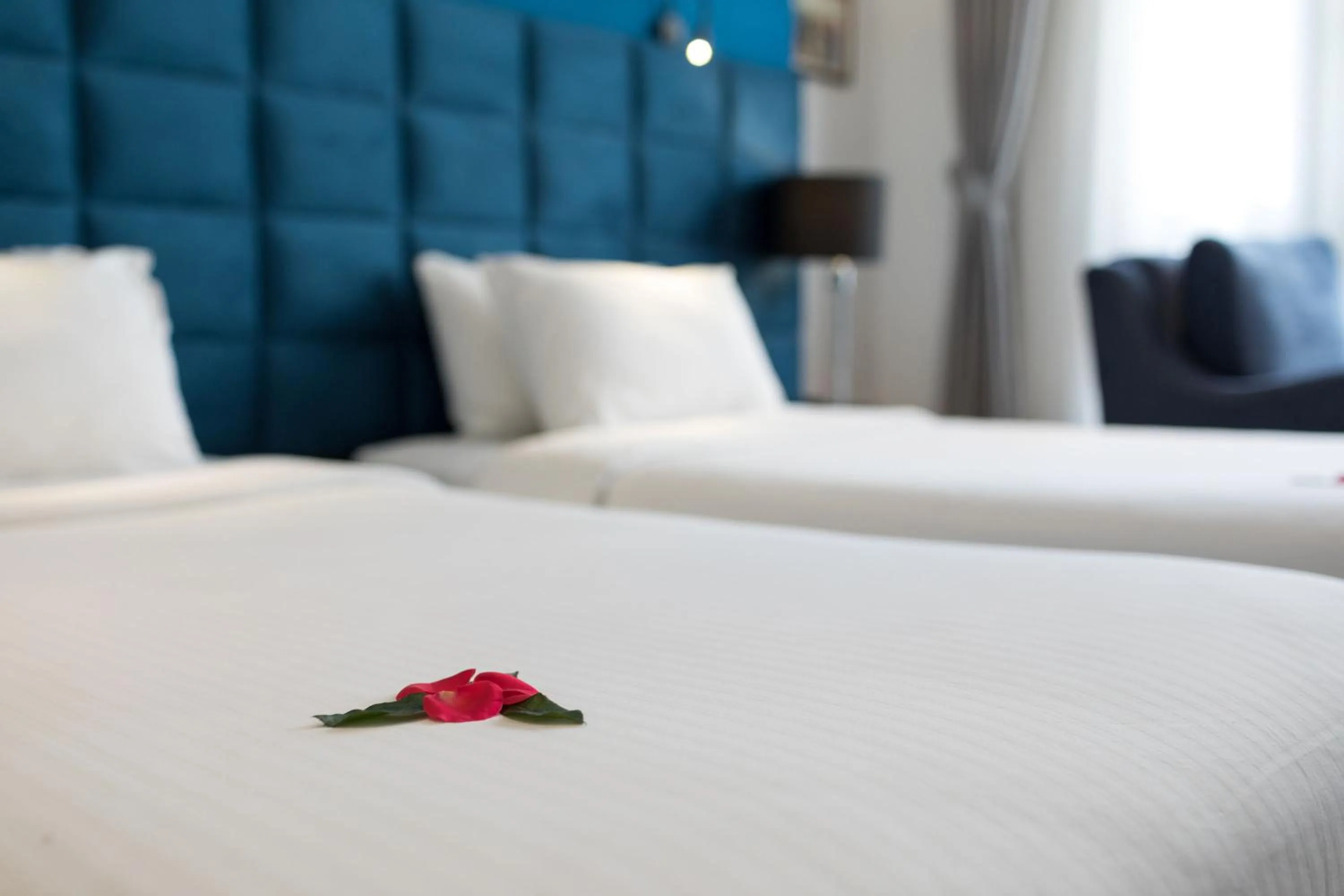 Bed in Hanoi Brilliant Hotel & Spa