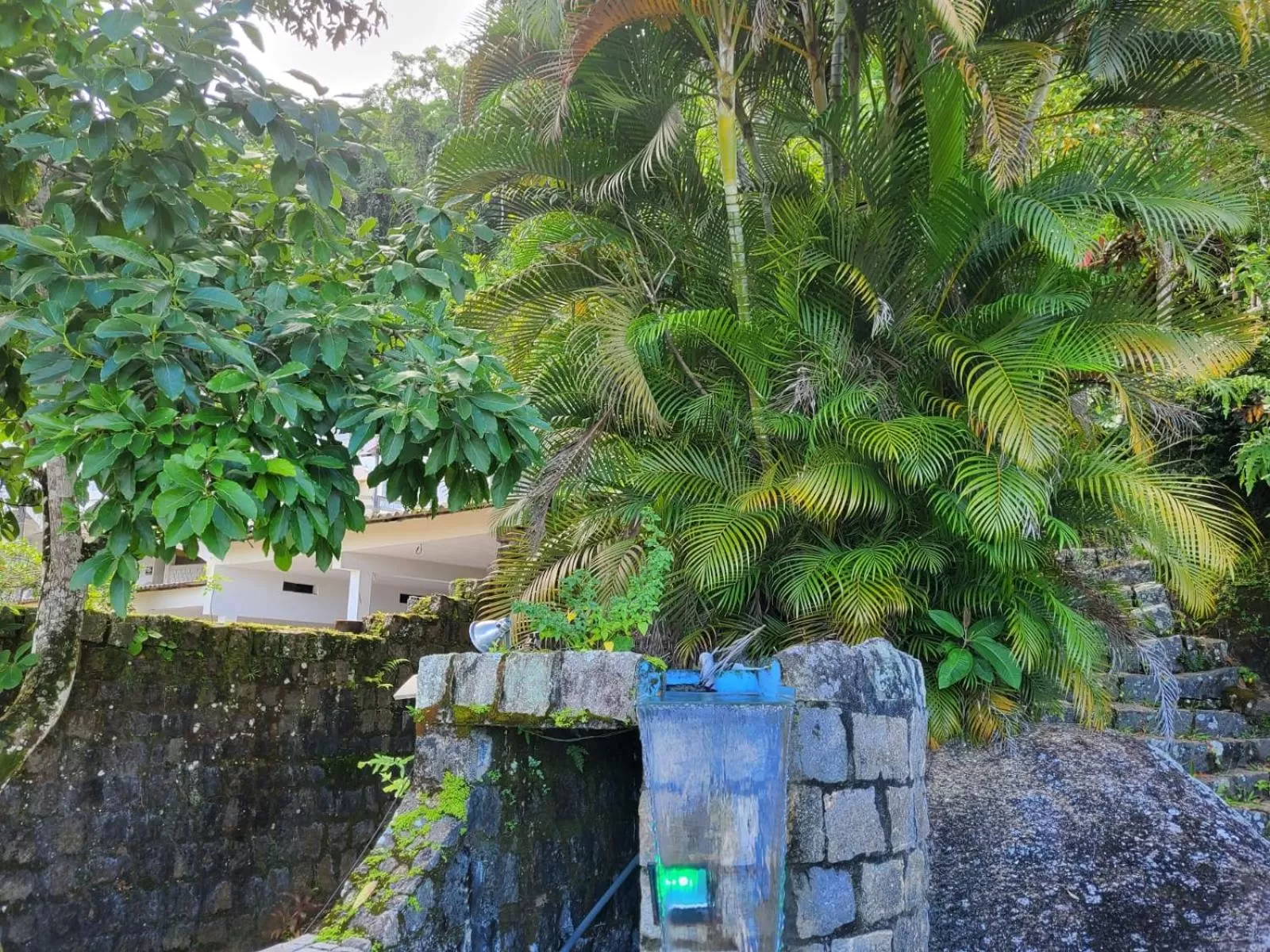 Garden, Pool View in Apartamentos Casa da Pedra