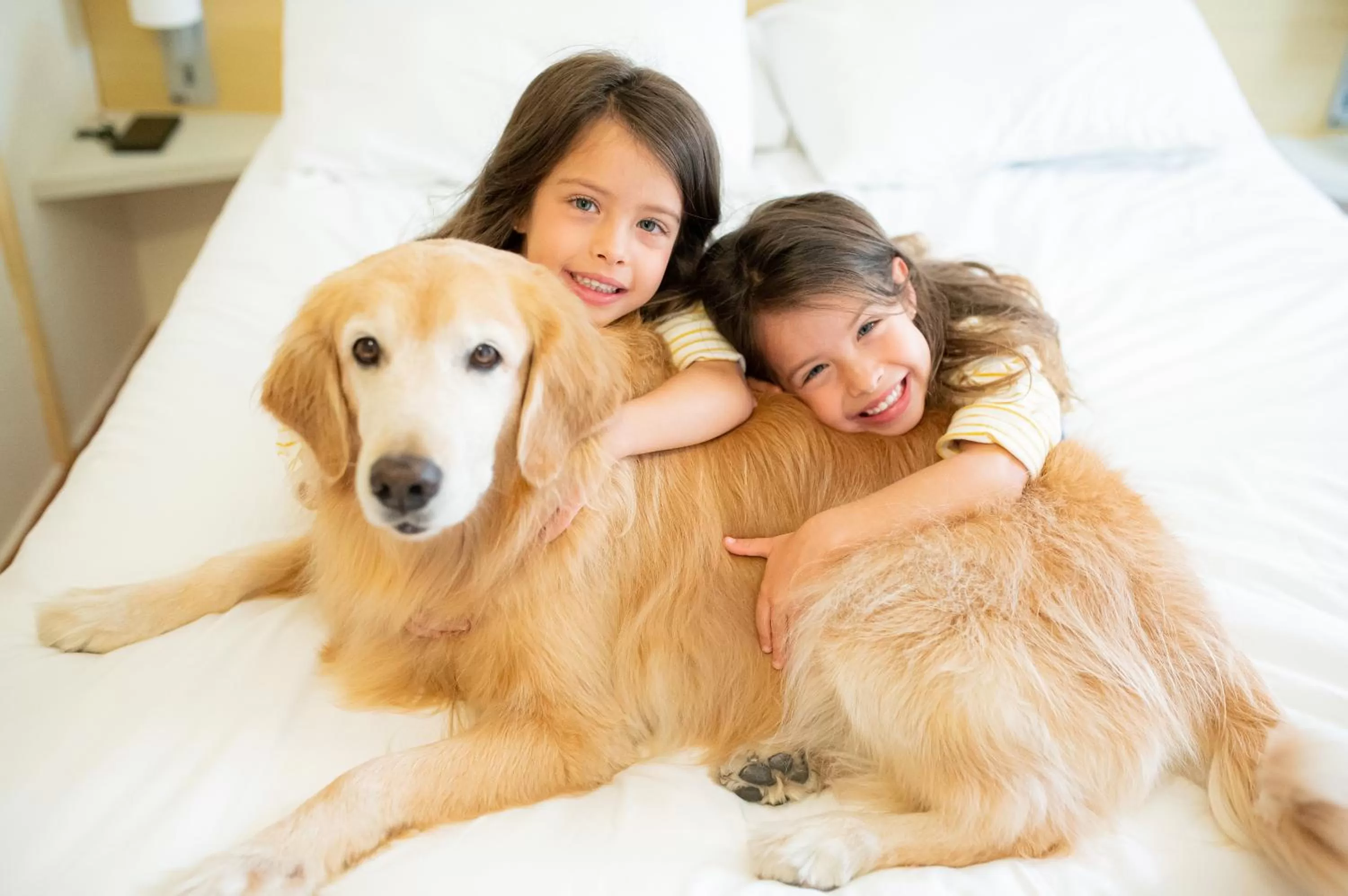 Property building in ibis Taubate