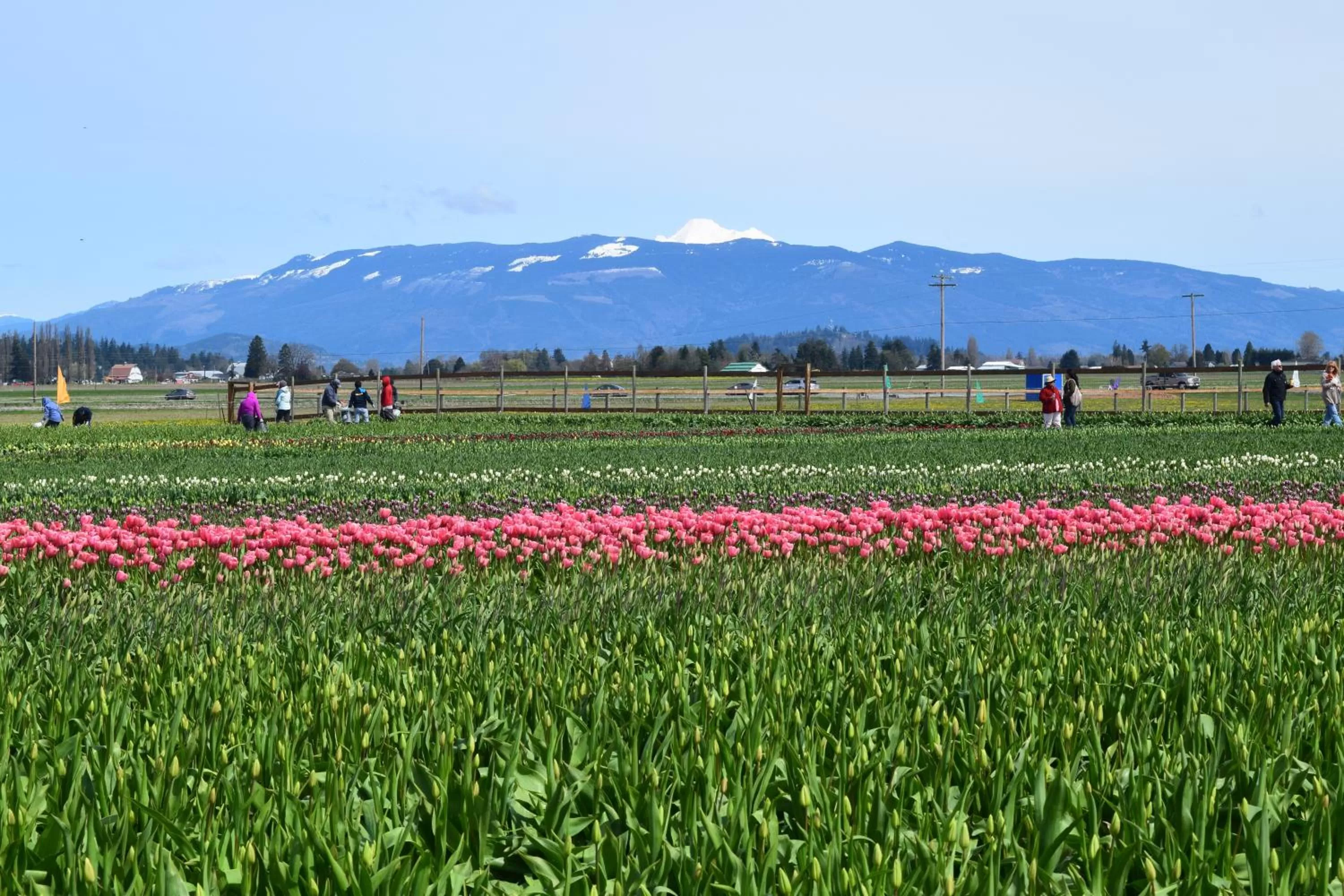 Nearby landmark in The Bluff on Whidbey