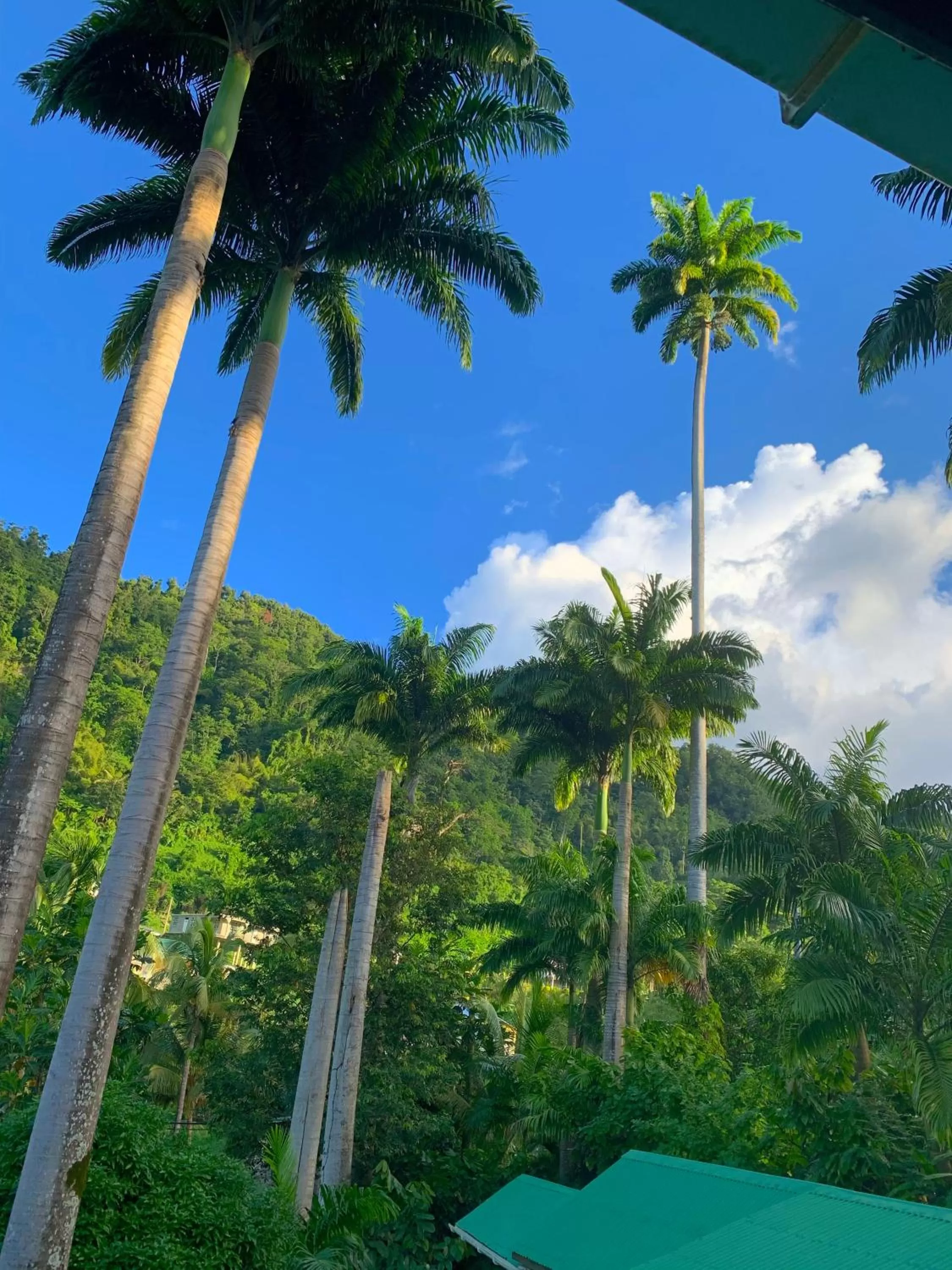 Mountain view in Cocoa Cottage