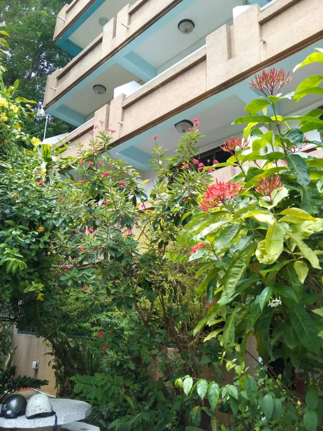 Property building in Bonny Hotel 4 Floors No Elevator