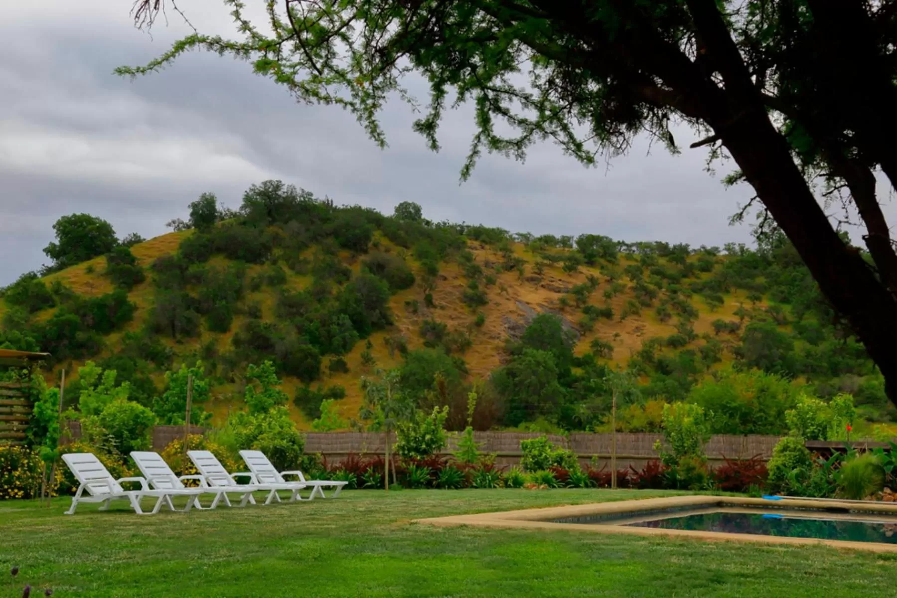 Garden in Callihue Lodge