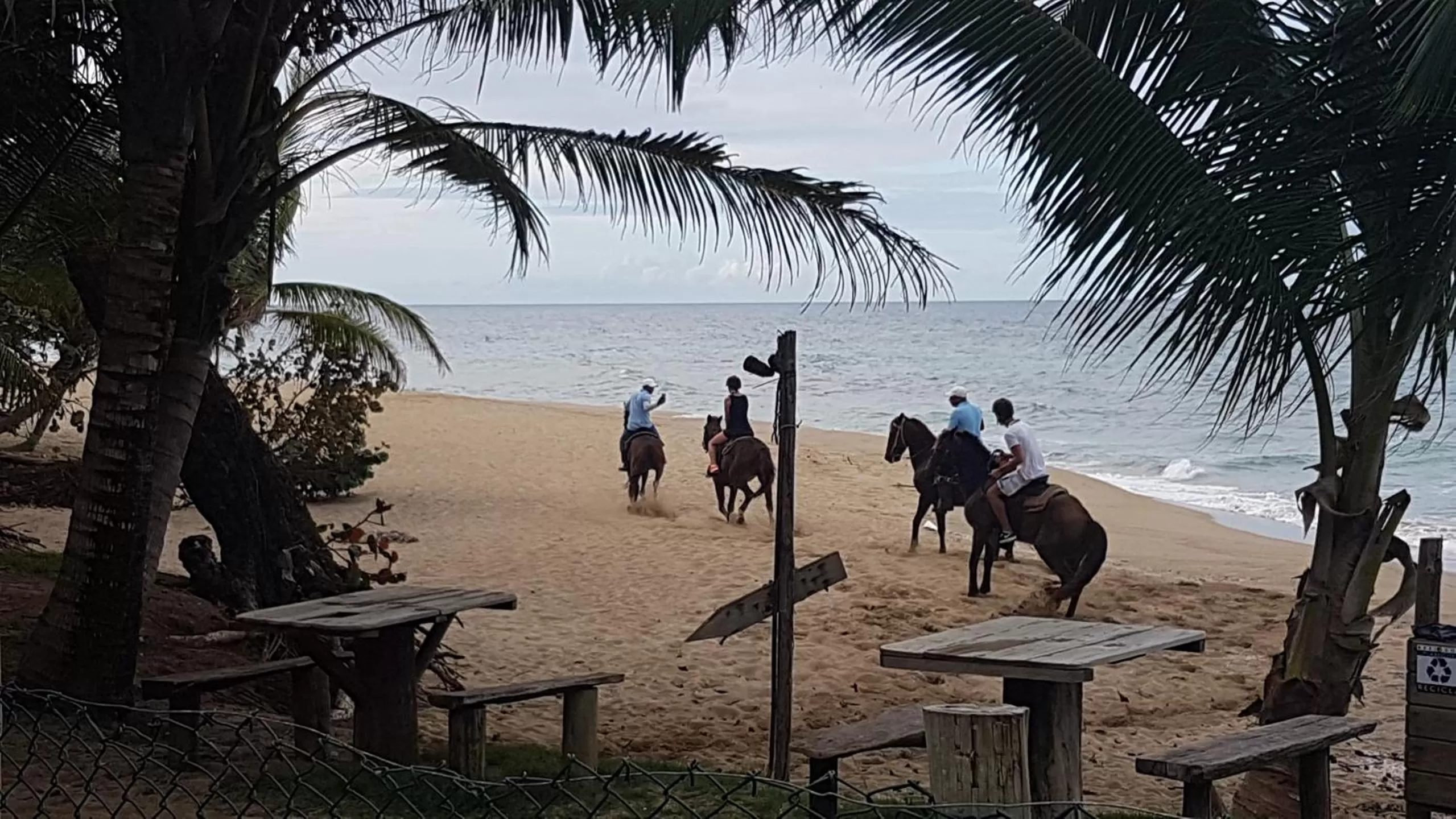 Horse-riding in Cabarete Maravilla Eco Lodge Boutique Beach Surf Encuentro, Kite, by AA Crypto Group