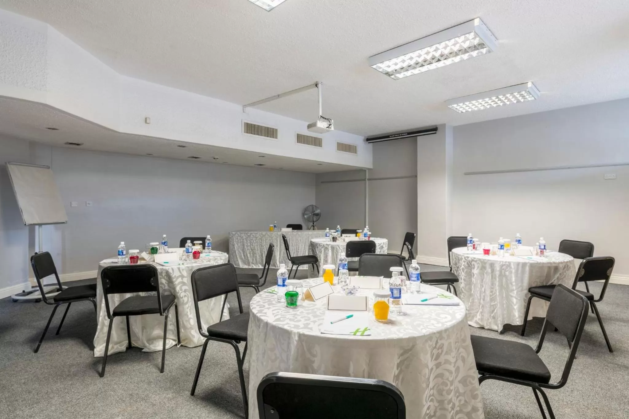Meeting/conference room in Holiday Inn - Mutare by IHG
