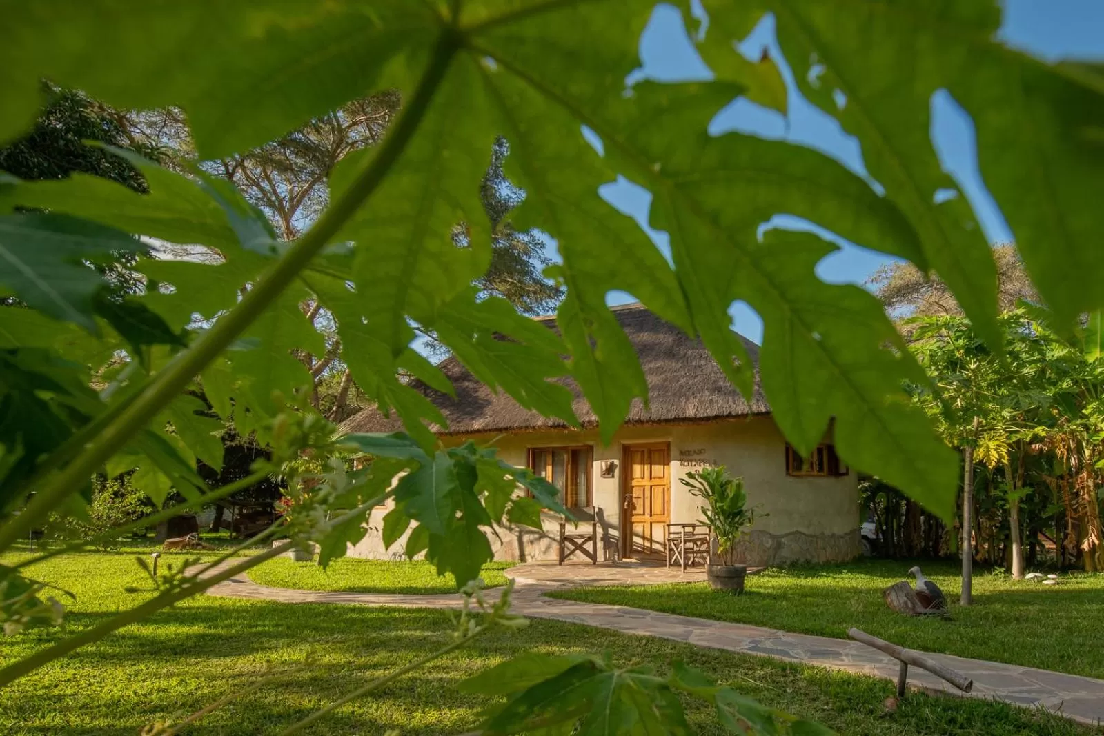 Patio, Property Building in Wild Dogs Lodge