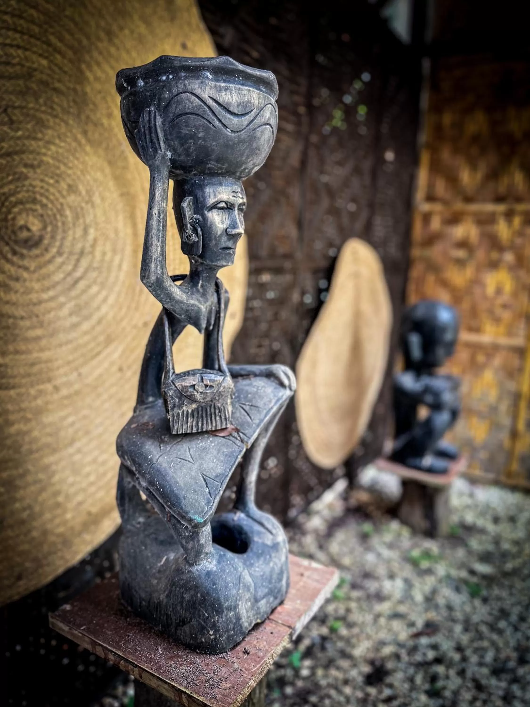 Garden in Alona Pawikan