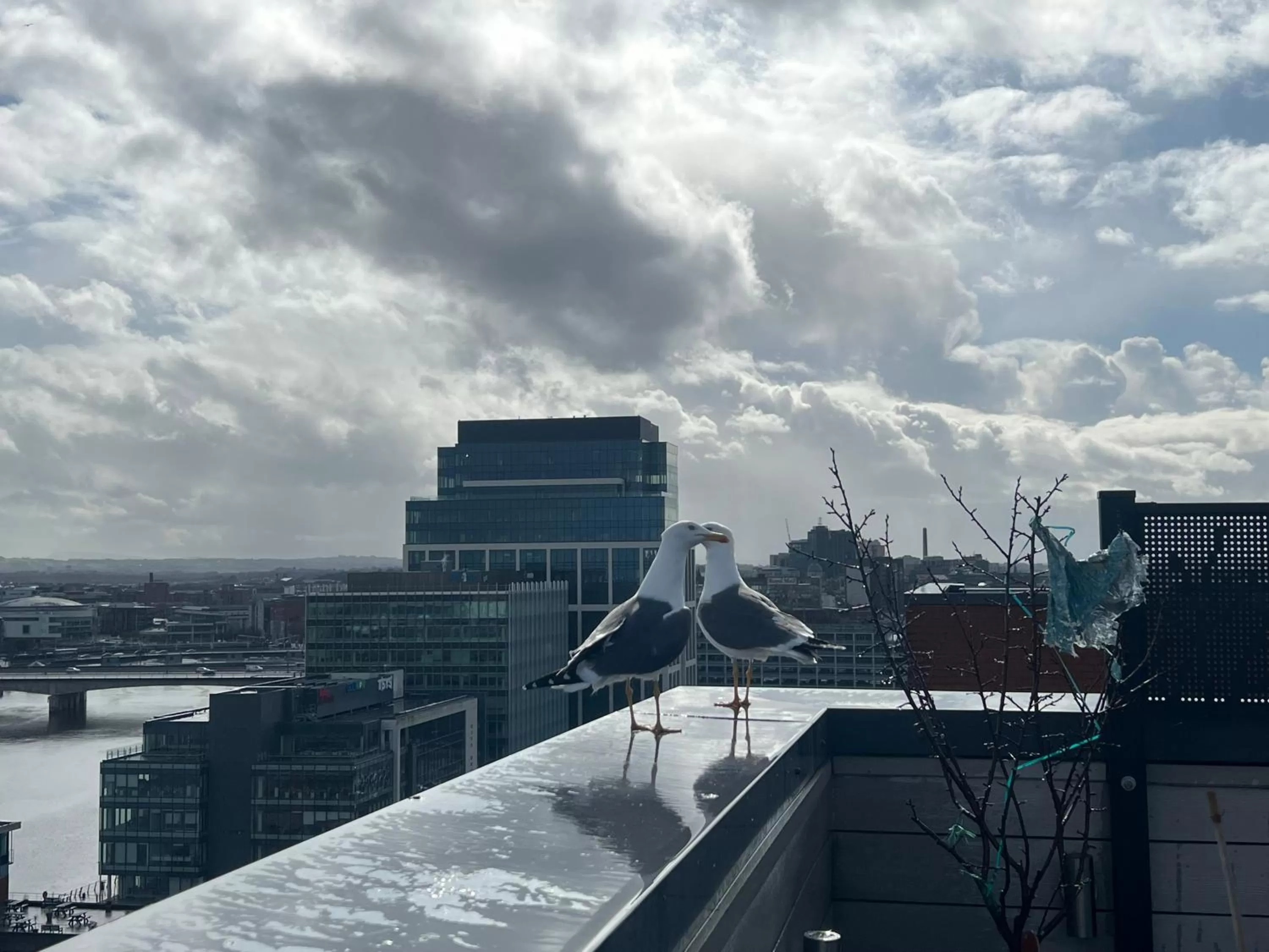 Winter in James Clow Bed & Breakfast