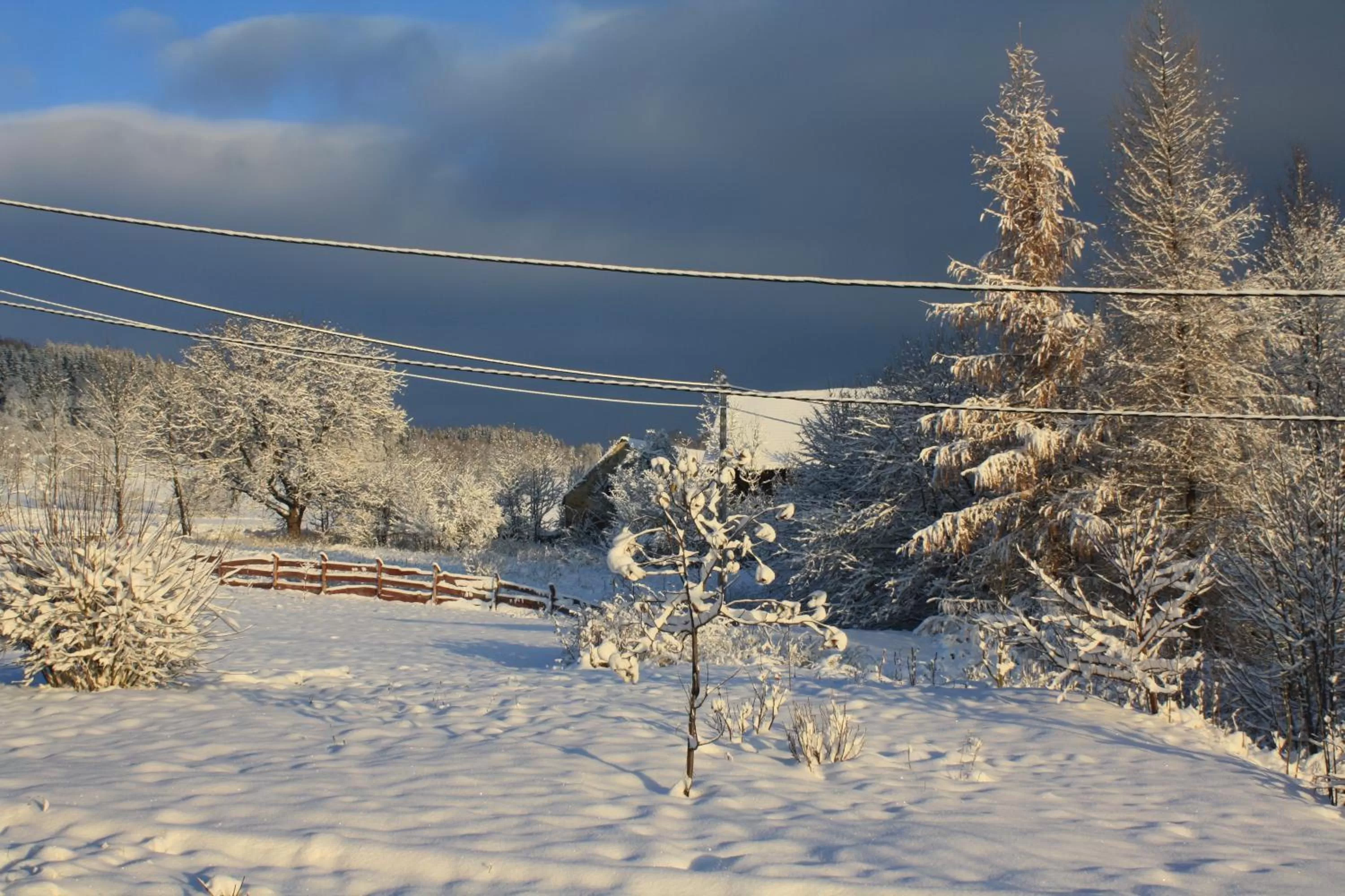 Garden view, Winter in Dom na Klonowym Wzgórzu