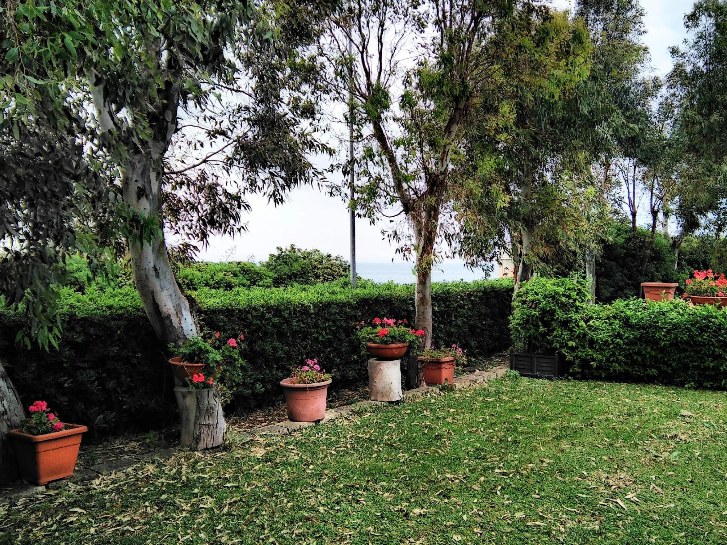Garden view in Hotel Baia Del Sole