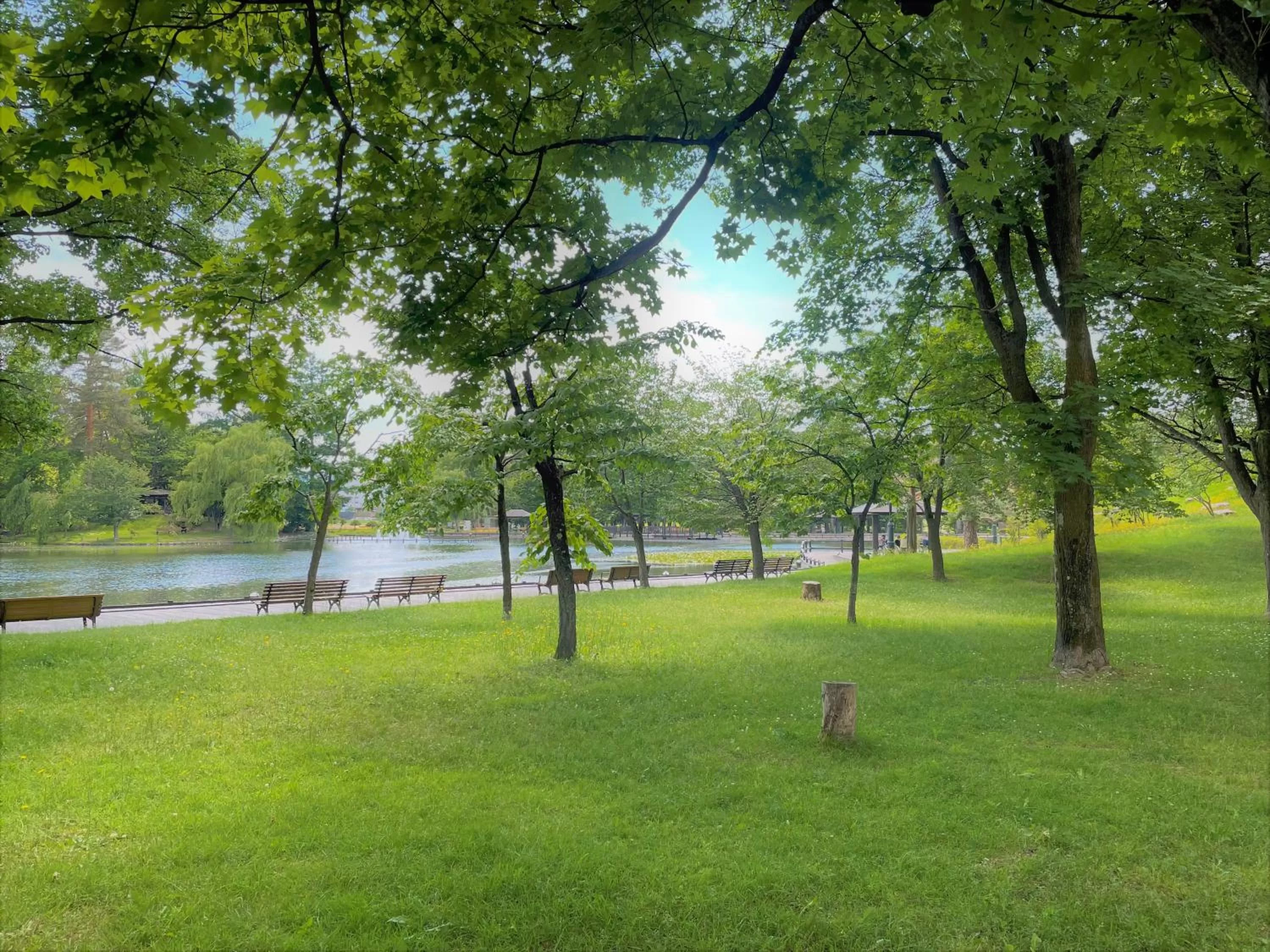 Nearby landmark in HOTEL AMANEK Asahikawa