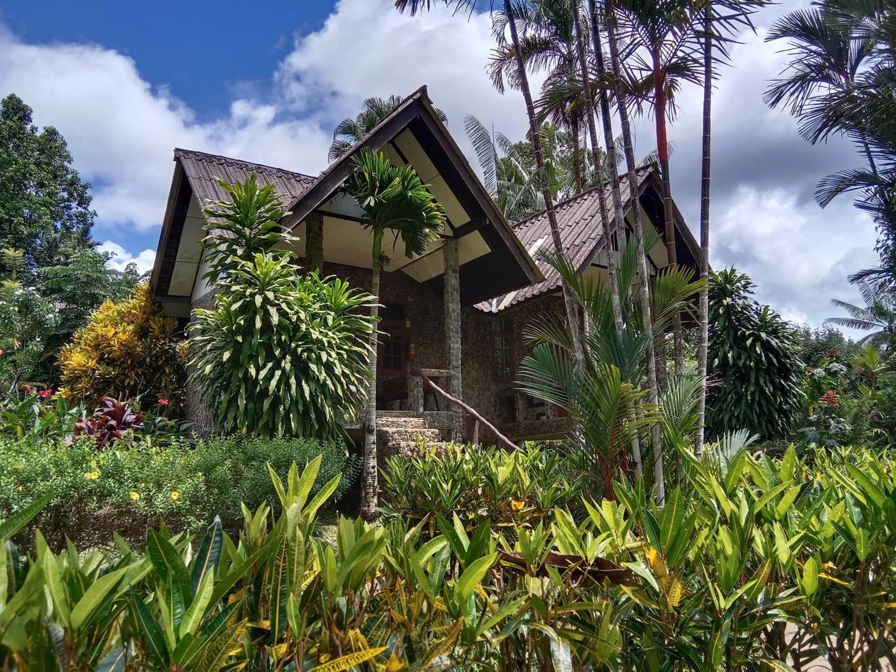 Tree Tops River Huts