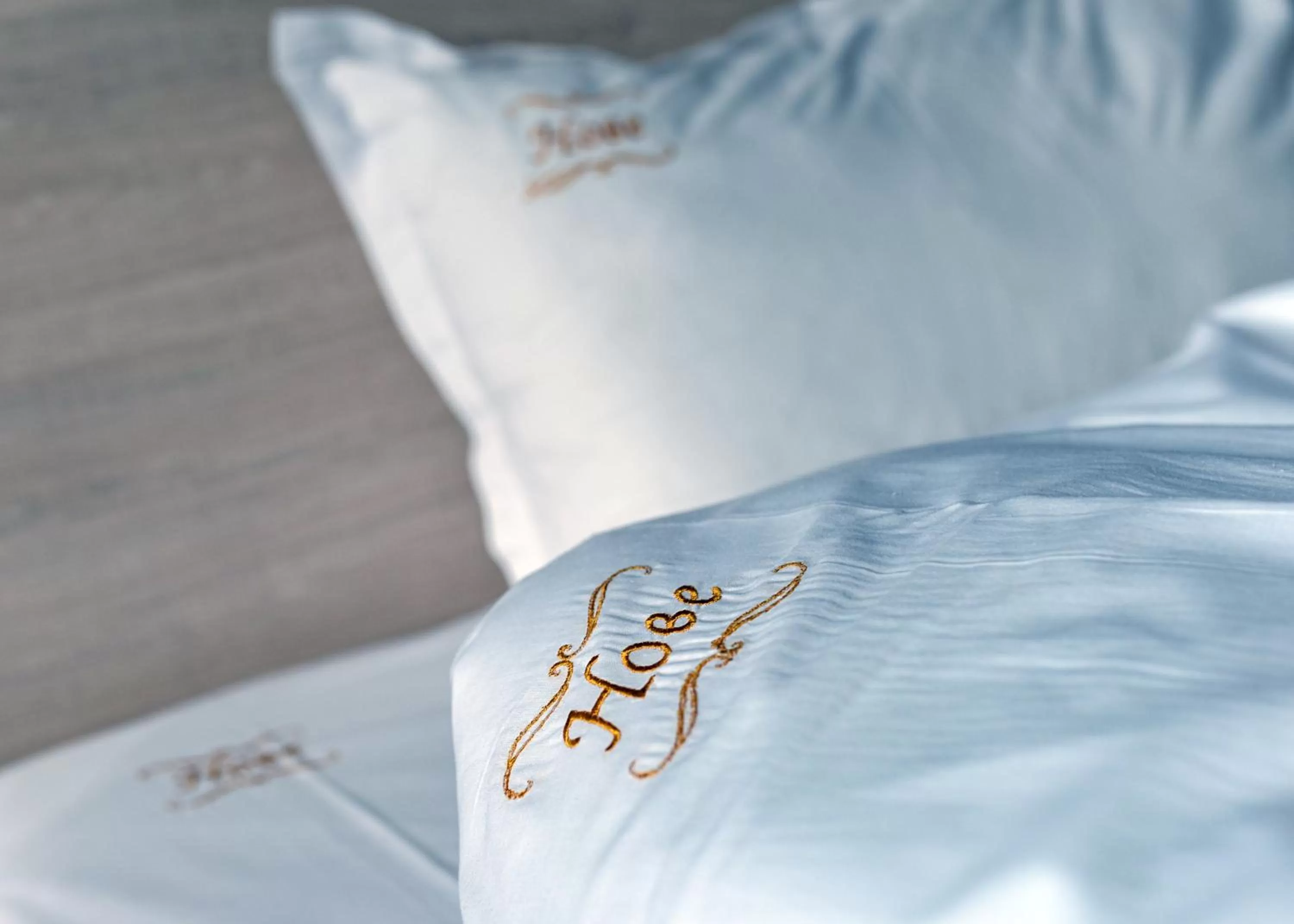 Property Logo/Sign in Hotel Nove