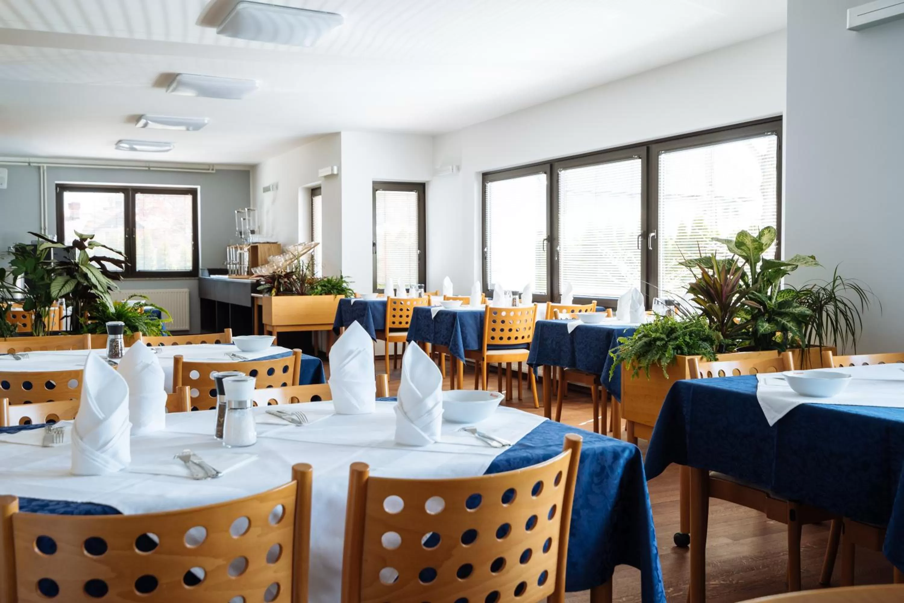 Food and drinks, Restaurant/Places to Eat in Hotel GH Kolinska