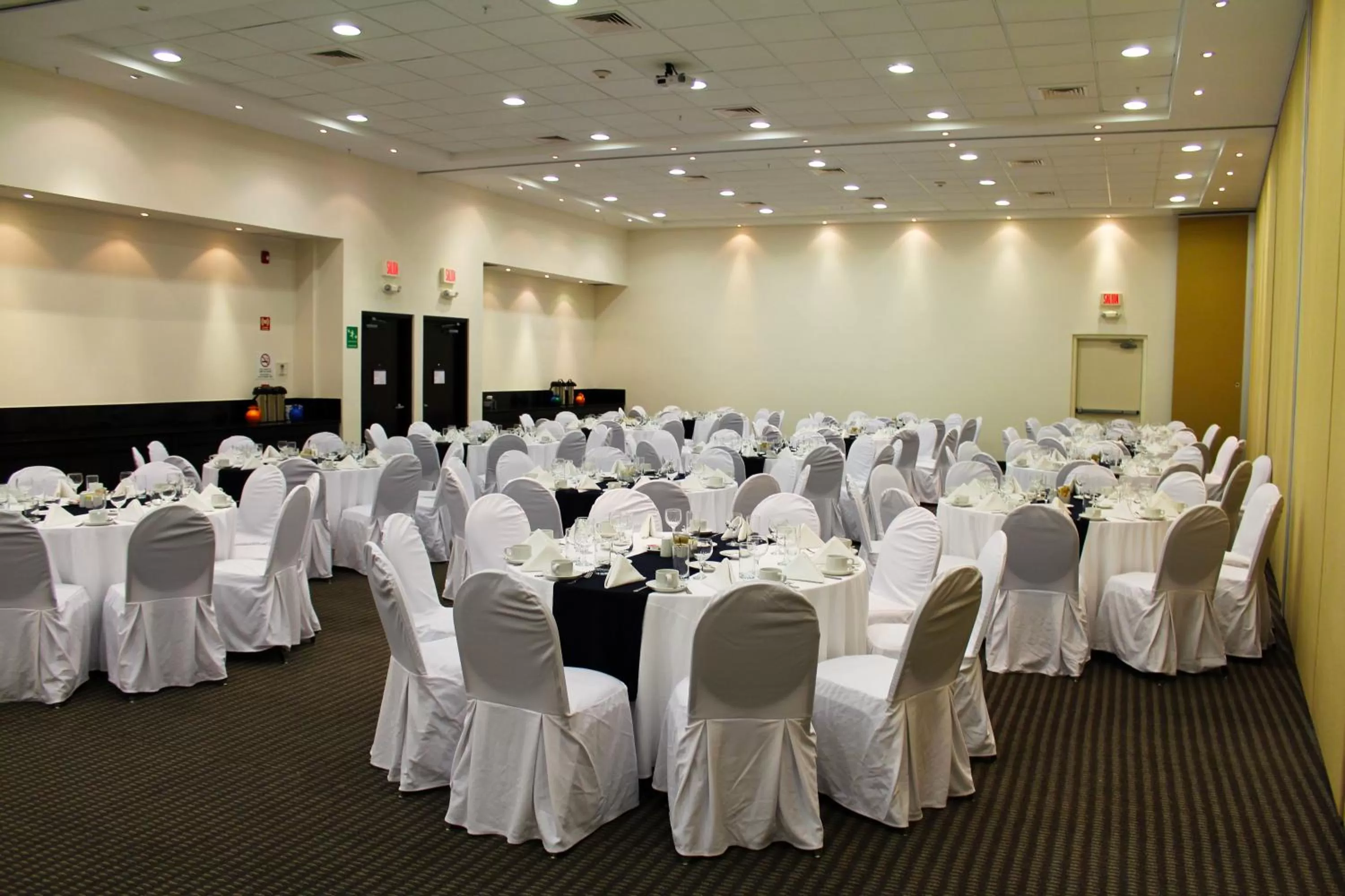 Banquet/Function facilities in Holiday Inn Express Mérida by IHG
