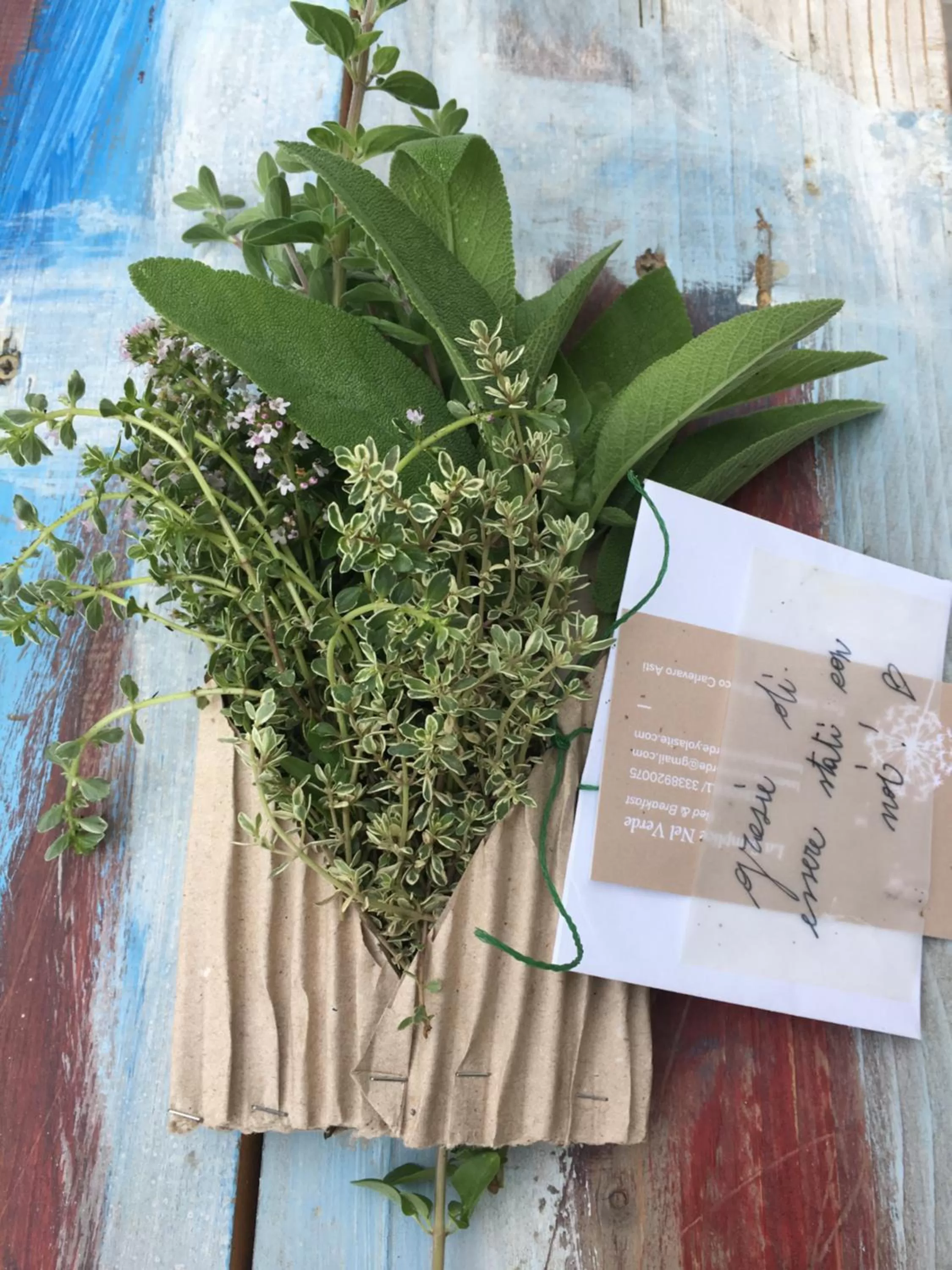 Summer in B&B La Semplice Nel Verde