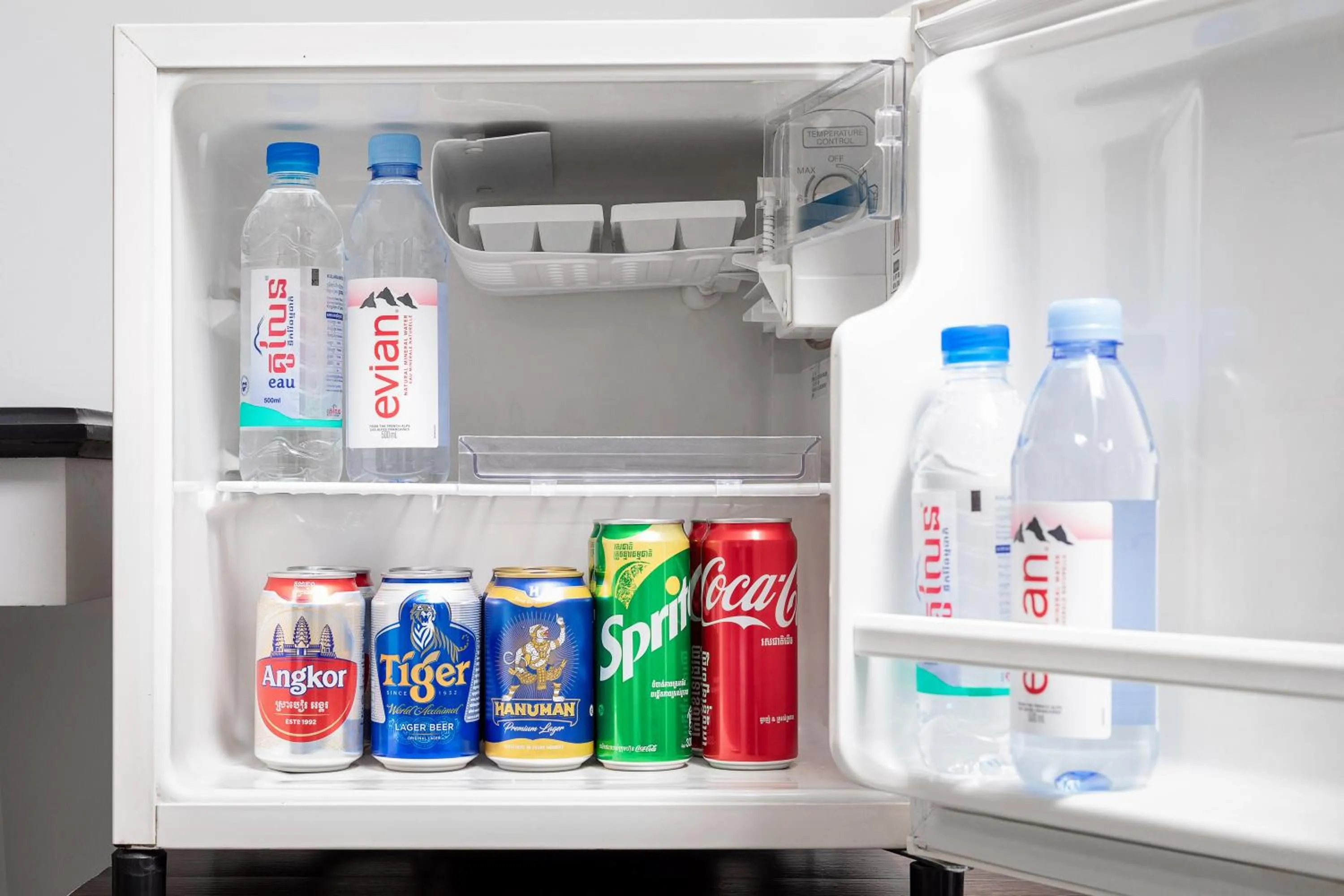 oven in Apsor Palace Hotel