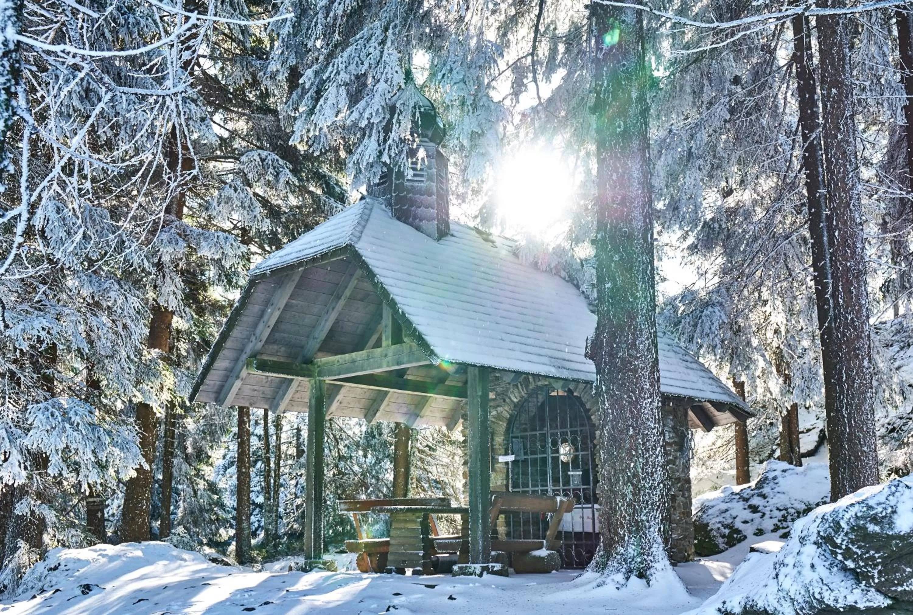Natural landscape in Wander und Aktiv Hotel Rösslwirt