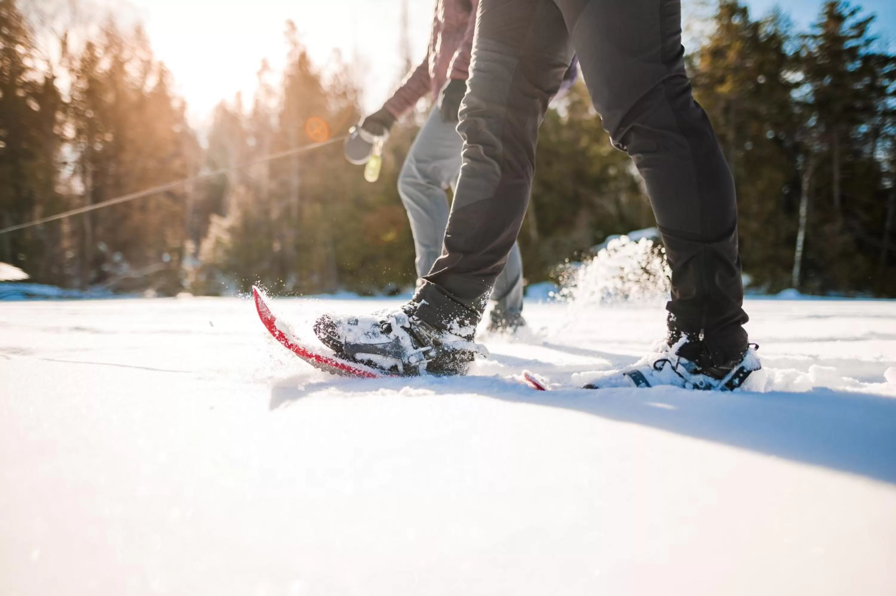 Activities in High Peaks Resort