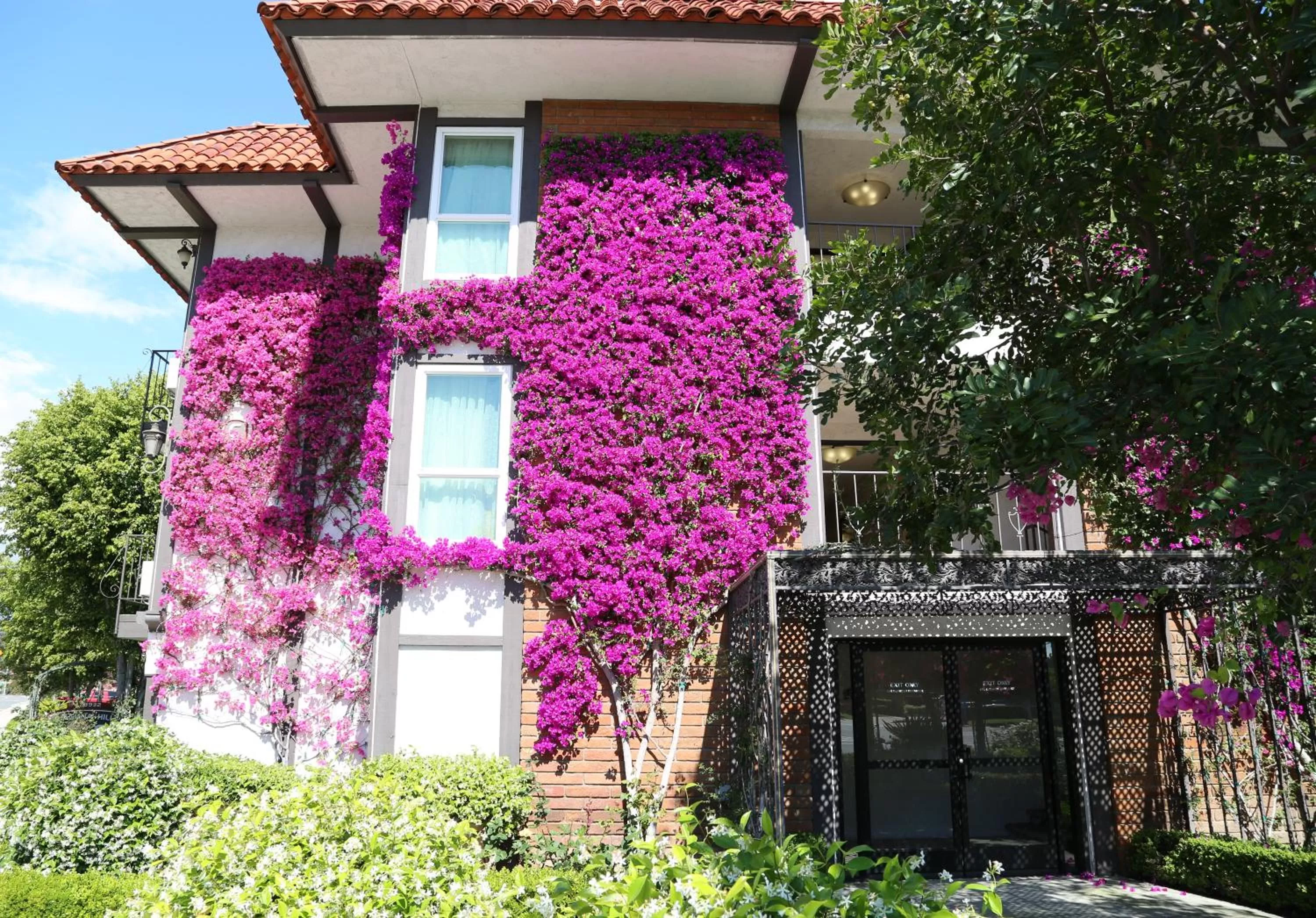 Property building in Laguna Hills Lodge-Irvine Spectrum