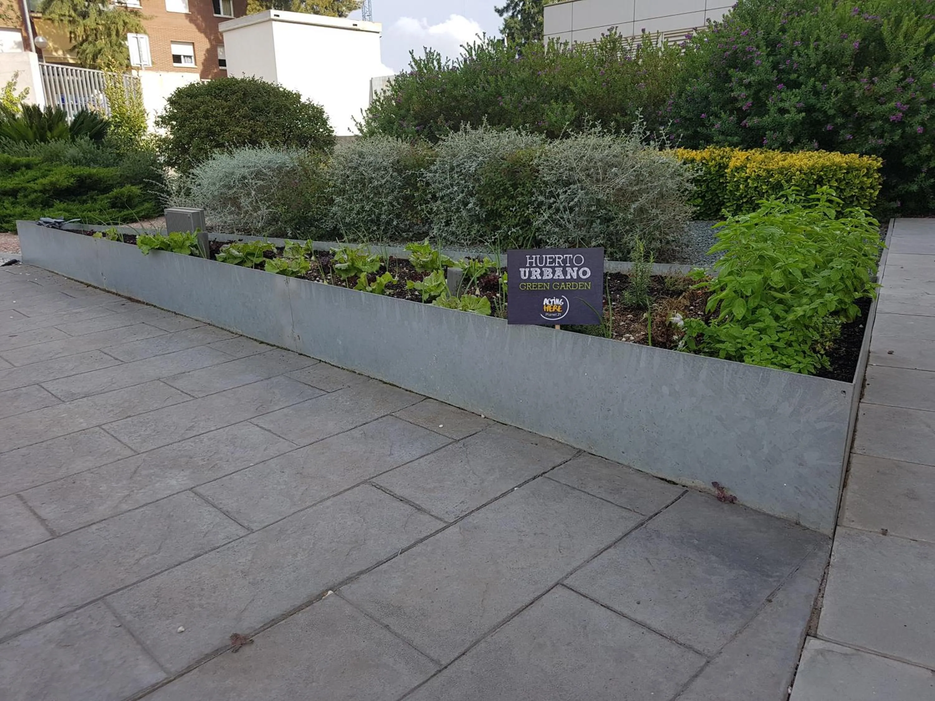 Garden in Ibis Barcelona Molins de Rei