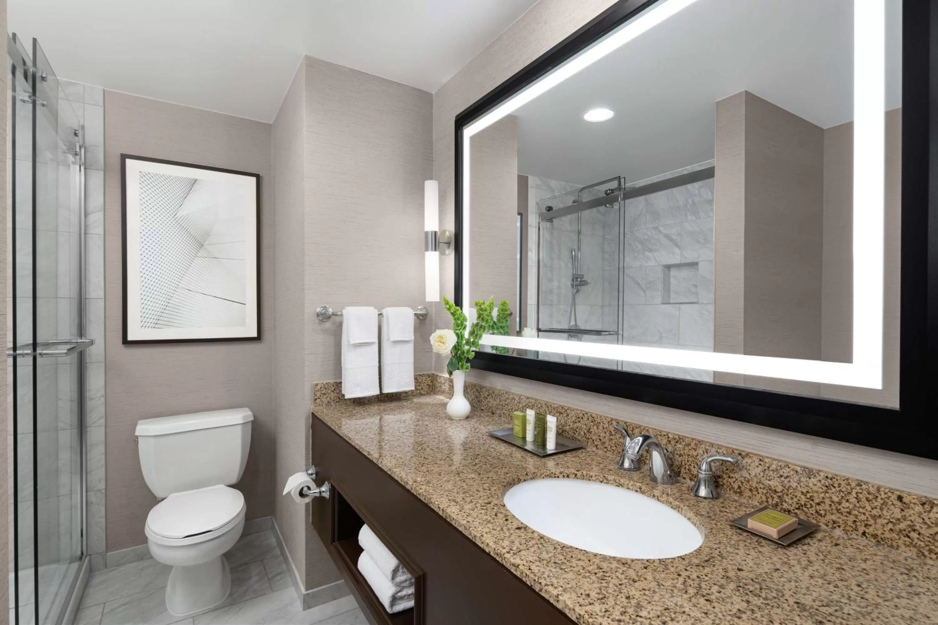 Bathroom in Hilton Indianapolis Hotel & Suites