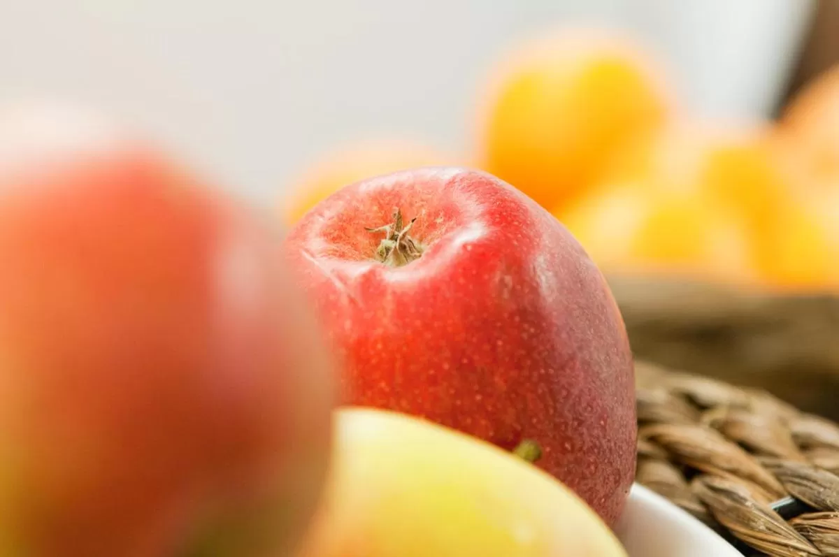 Spa and wellness centre/facilities, Food in Bodensee-Hotel Sonnenhof