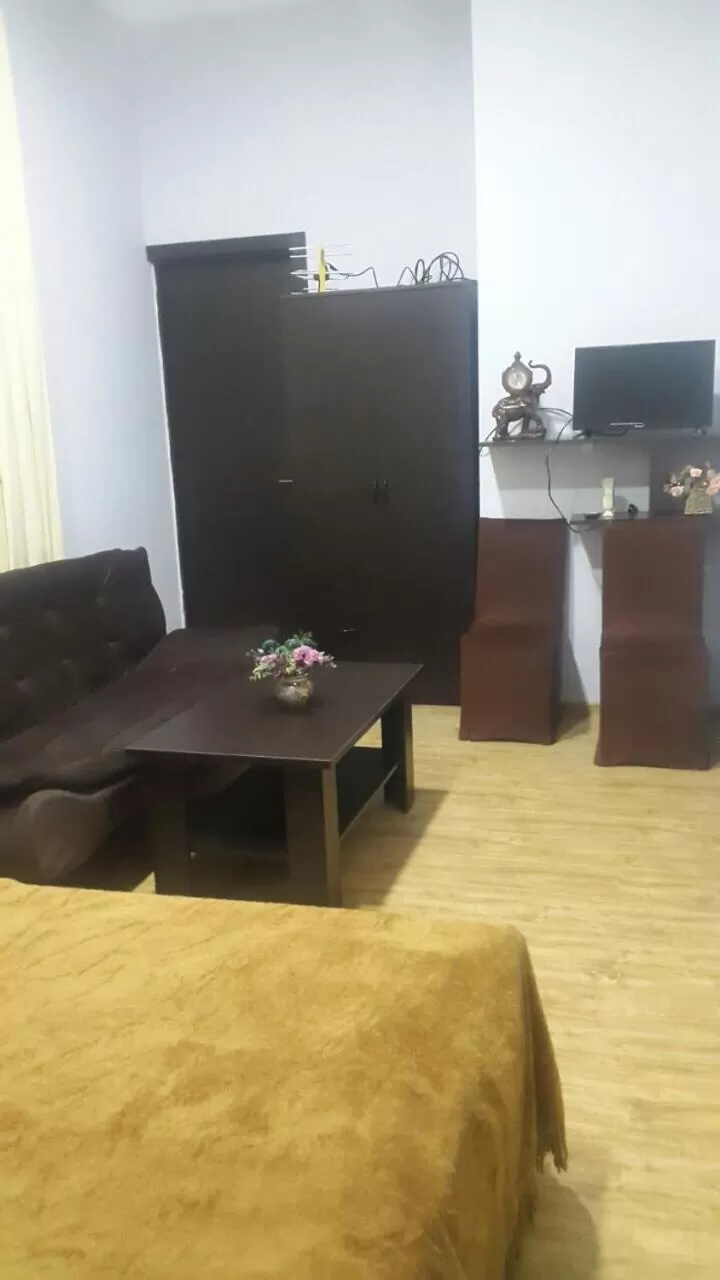 TV/Entertainment Center in Hotel Newland