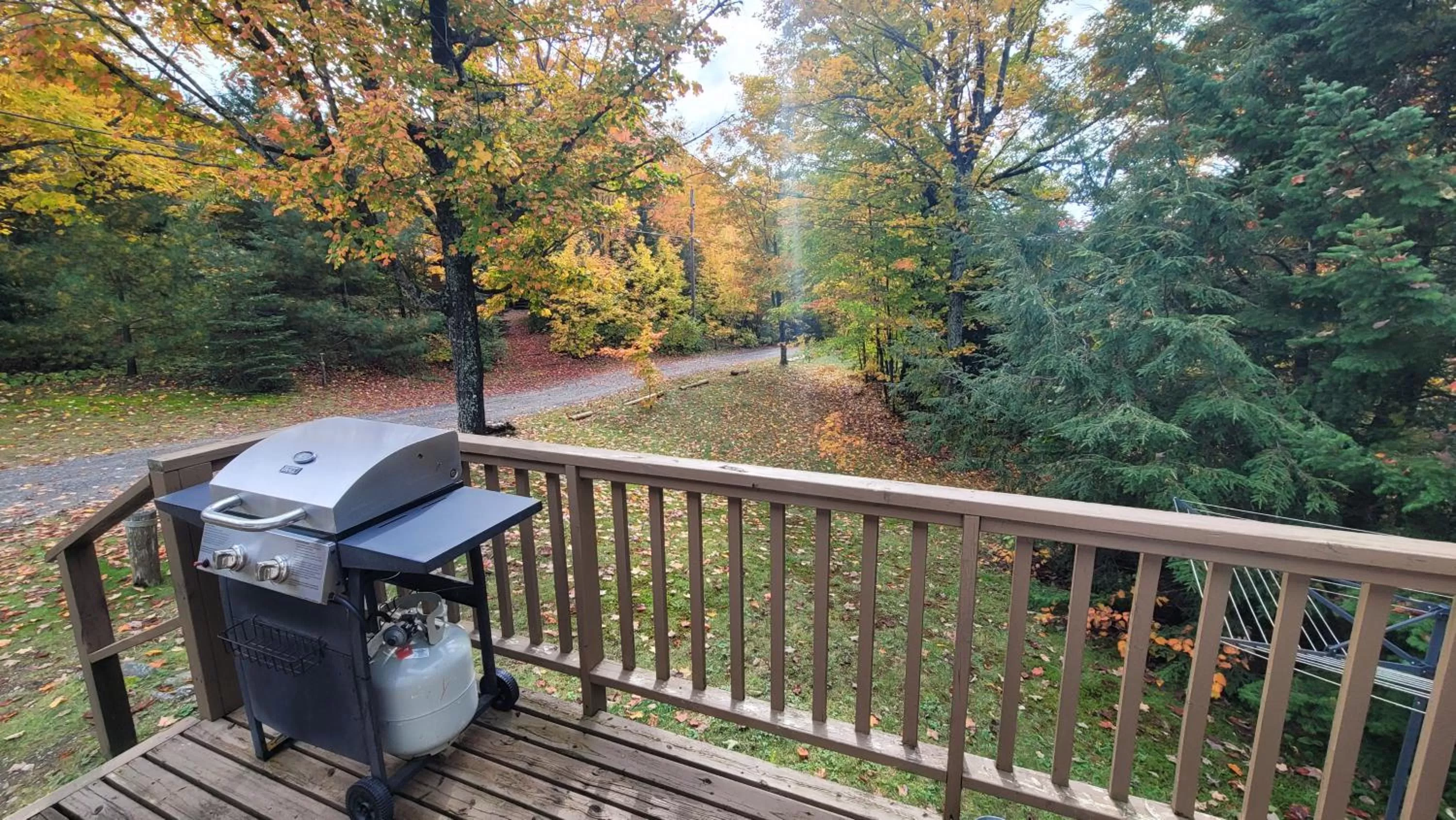 BBQ facilities in Parkway Cottage Resort and Trading Post