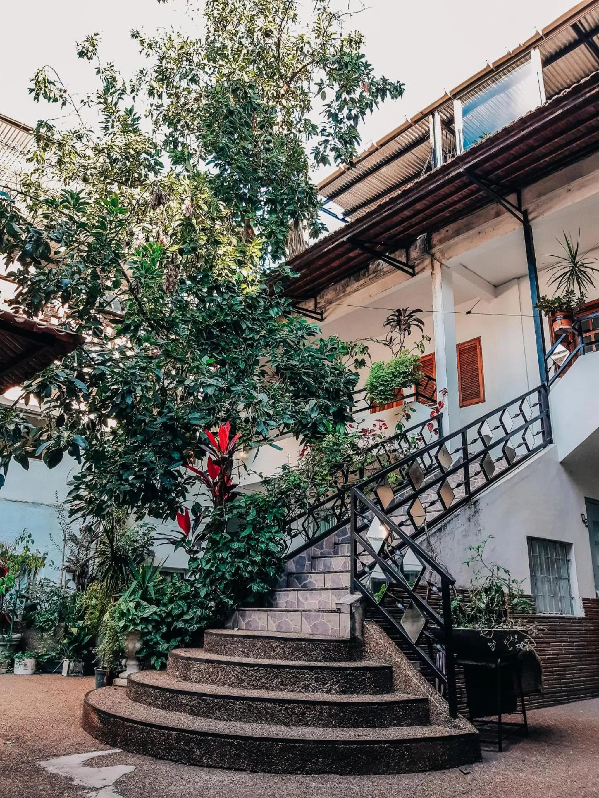 Patio, Property Building in Hotel Tia