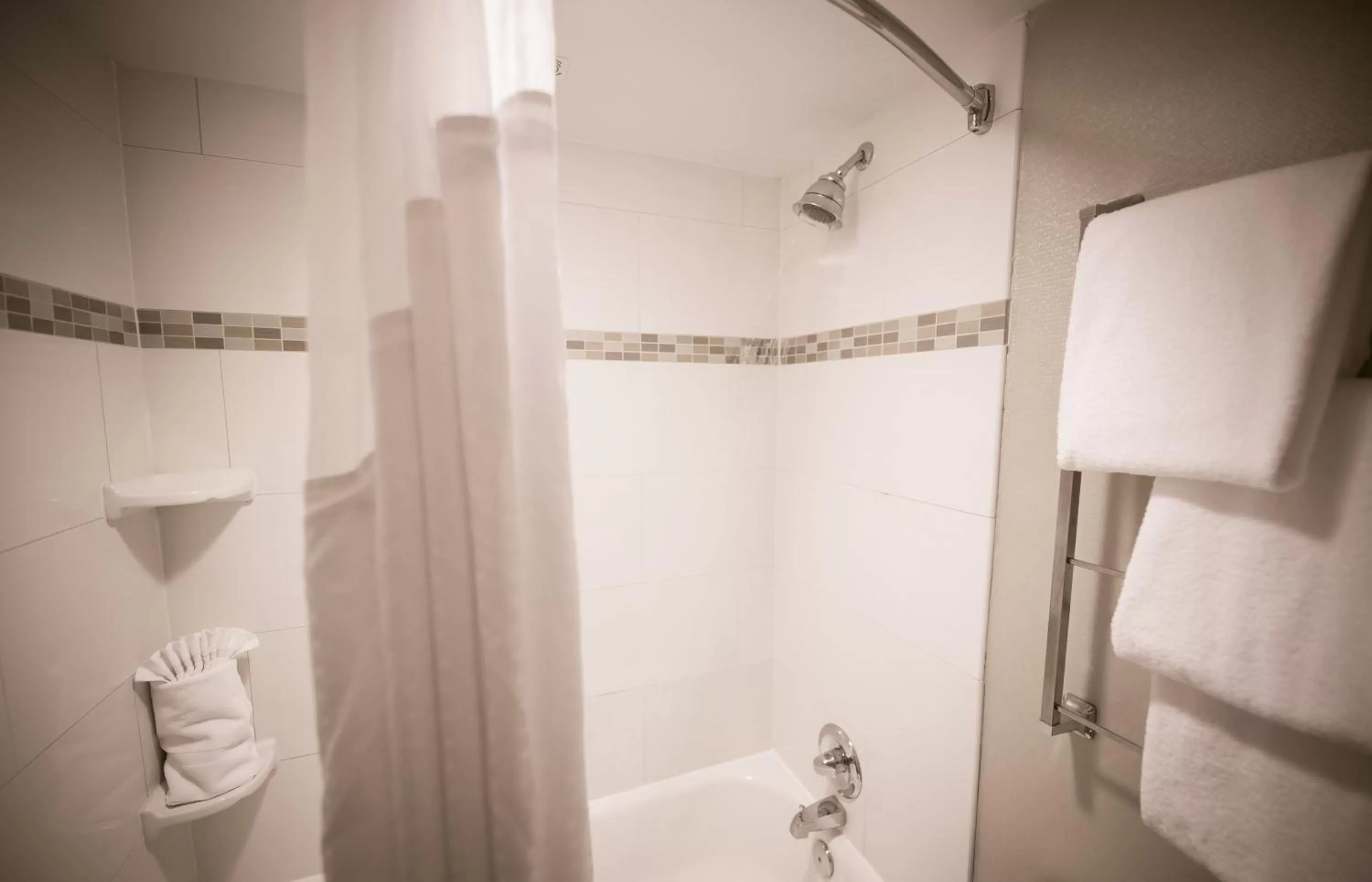 Bathroom in Holiday Inn Raleigh Downtown by IHG