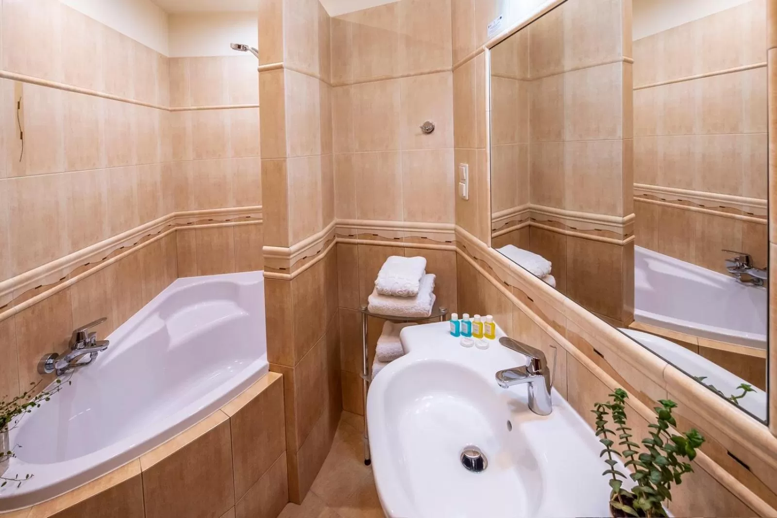 Bathroom in Hotel Royal