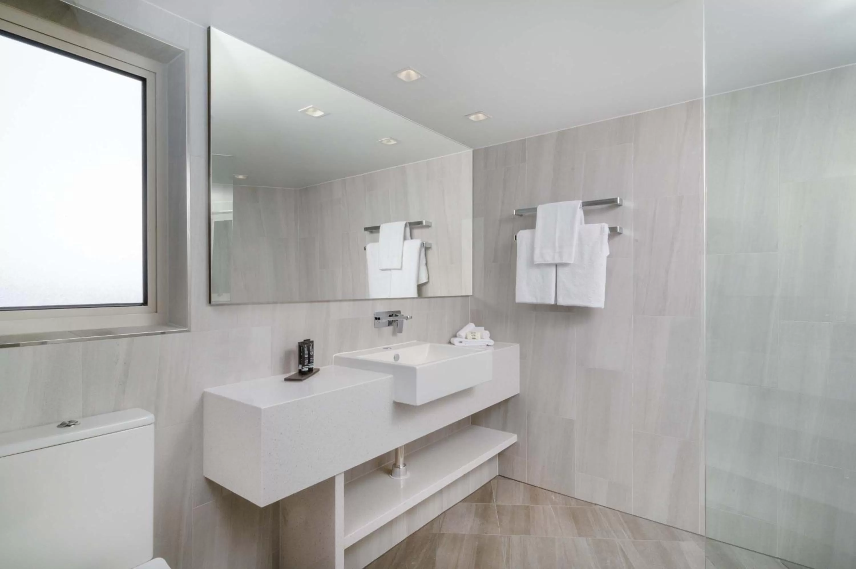 Toilet in The Sebel Twin Towns