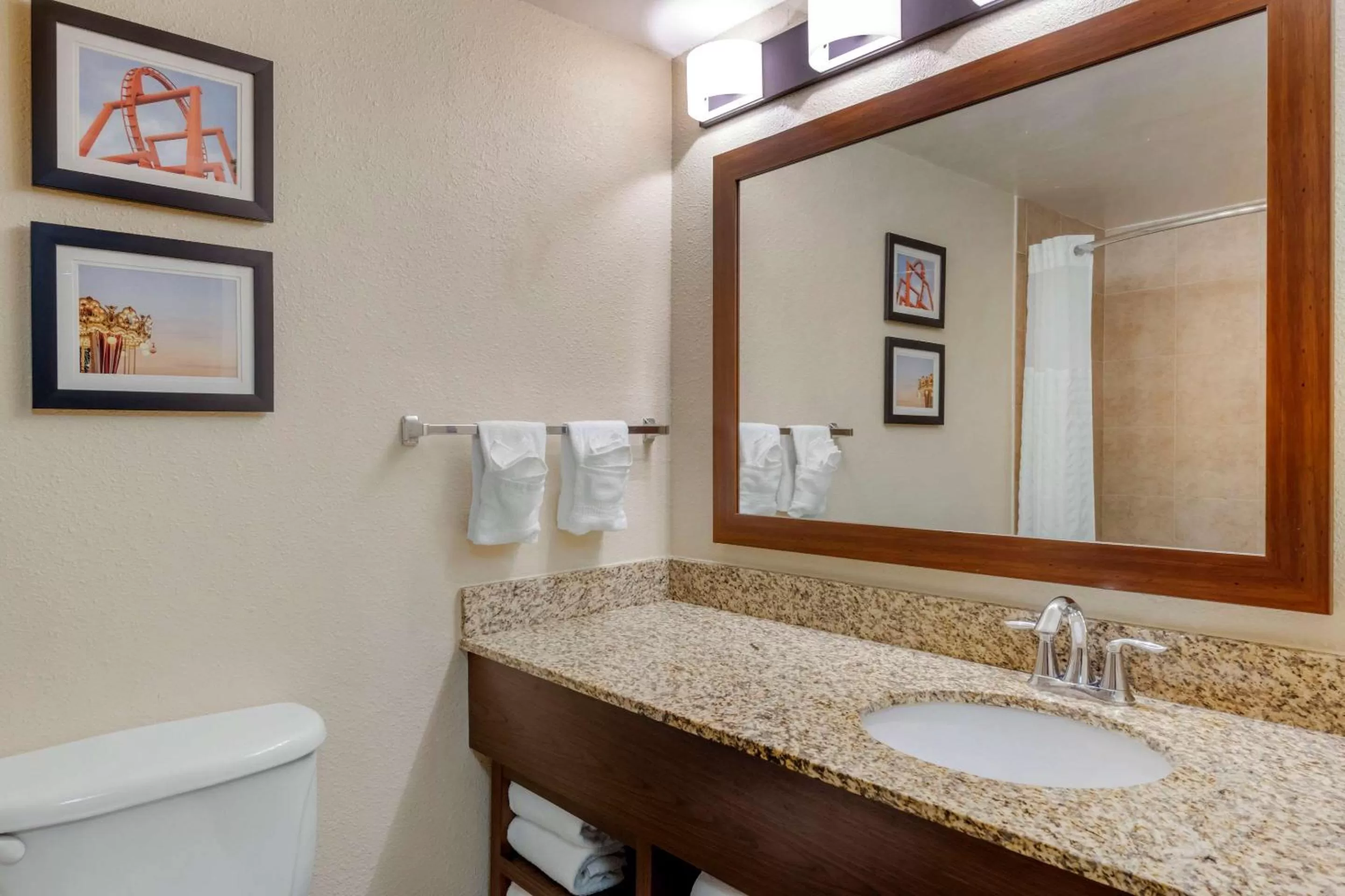 Bathroom in Comfort Suites Near Universal Orlando Resort