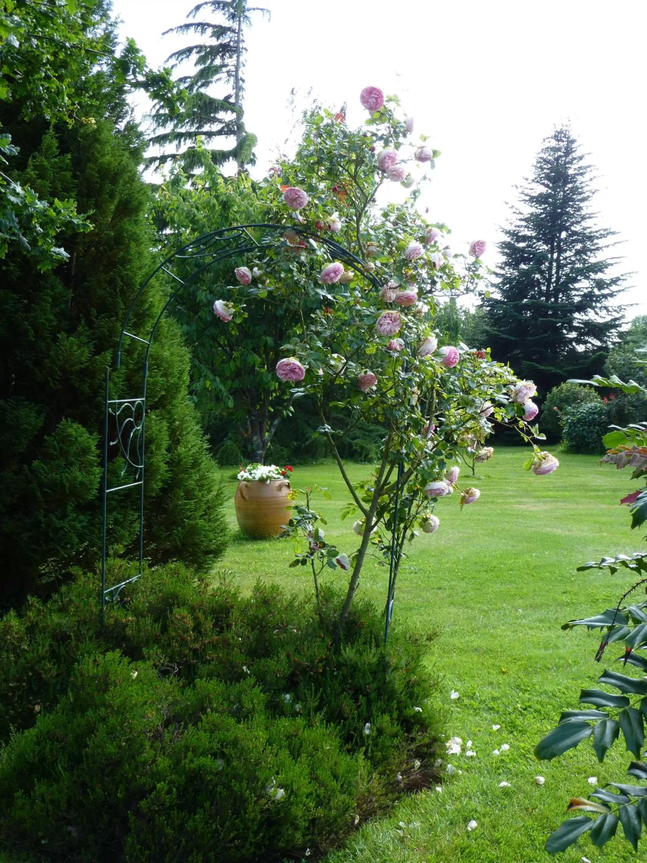 Garden in Le Clos du Pont Martin