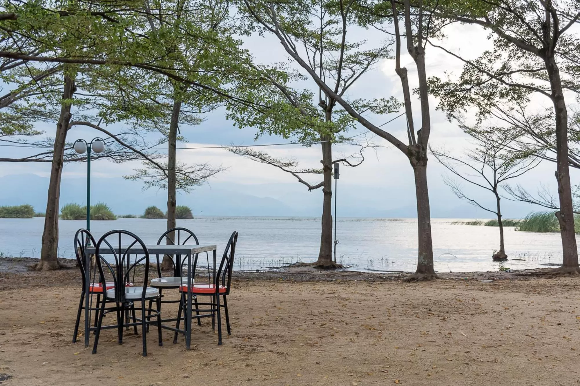 Restaurant/places to eat, Beach in Hotel Safari Gate