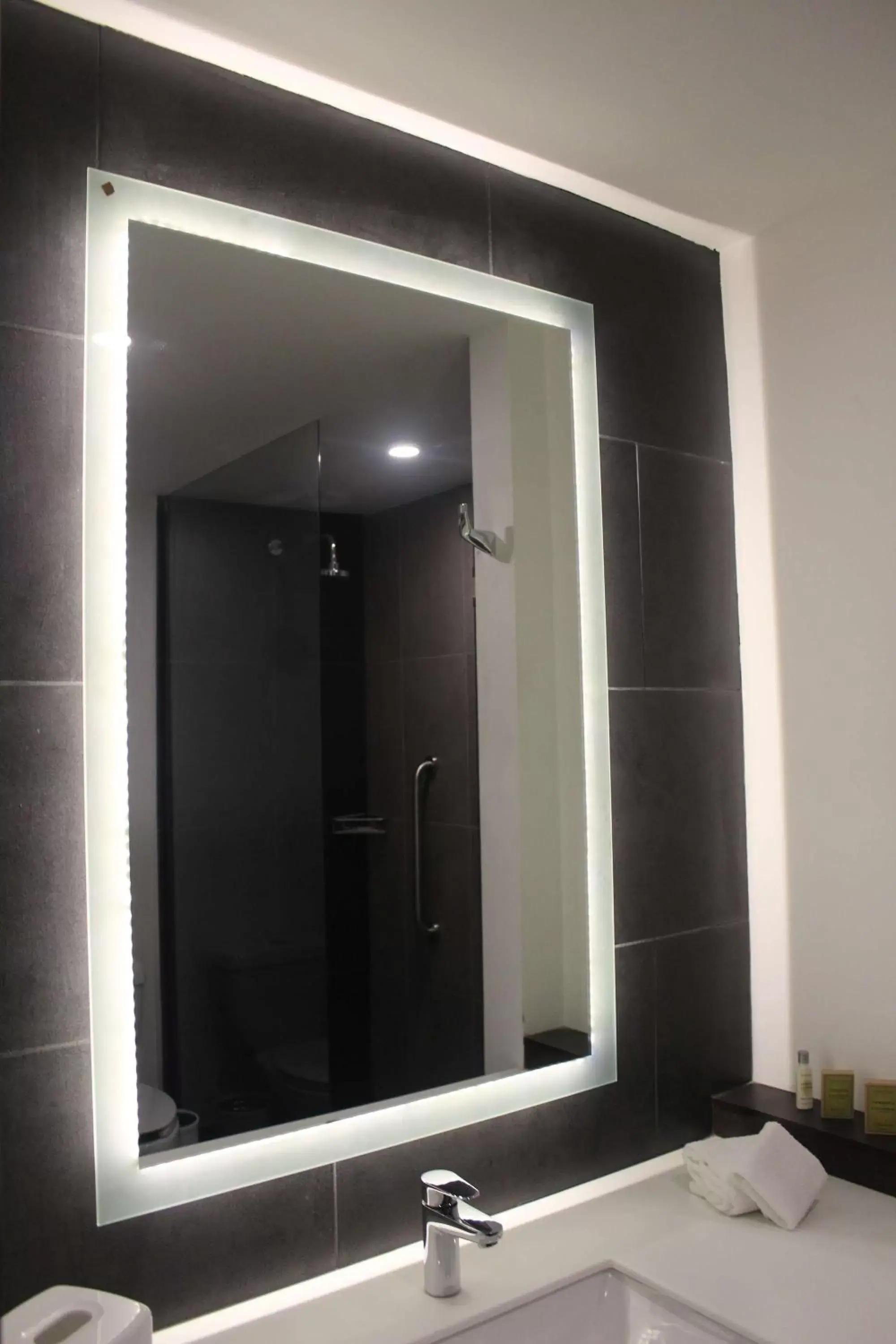 Queen Room with Lake View in Hampton Inn By Hilton San Luis Potosi Queen Room with Lake View in Hampton Inn By Hilton San Luis Potosi