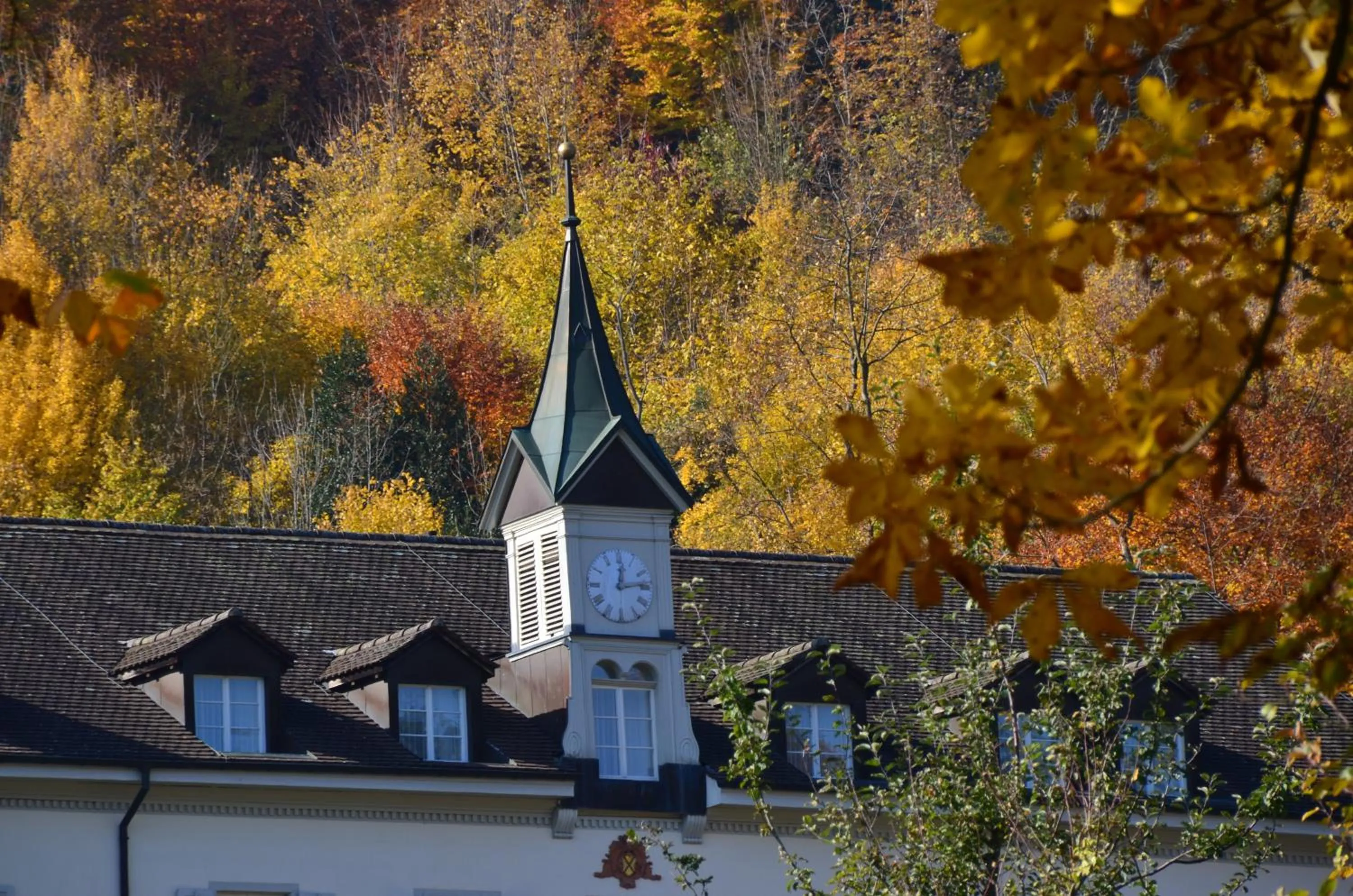 Day in Bad Schauenburg