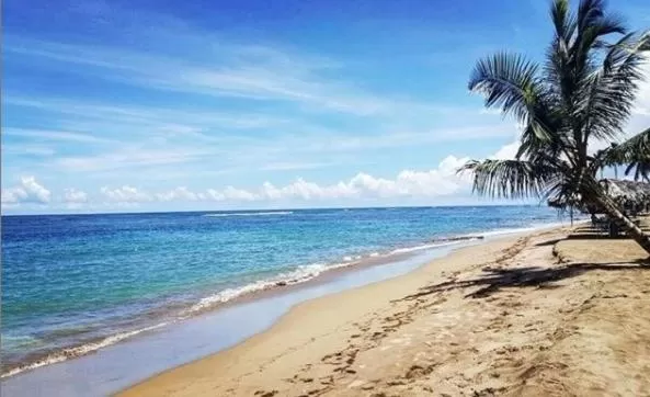 Beach in Apartahotel MACADANA