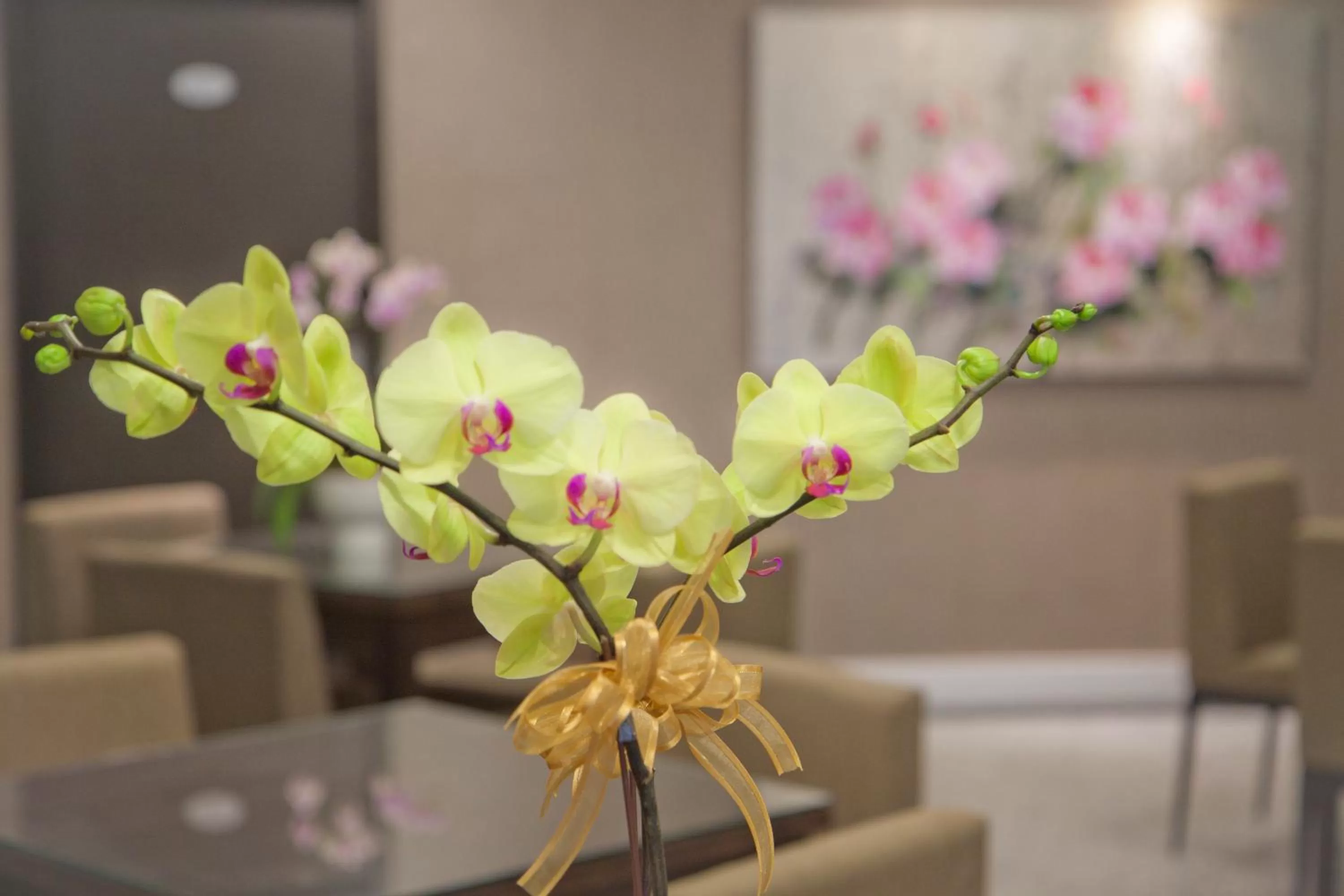 Other in True Friend Hotel