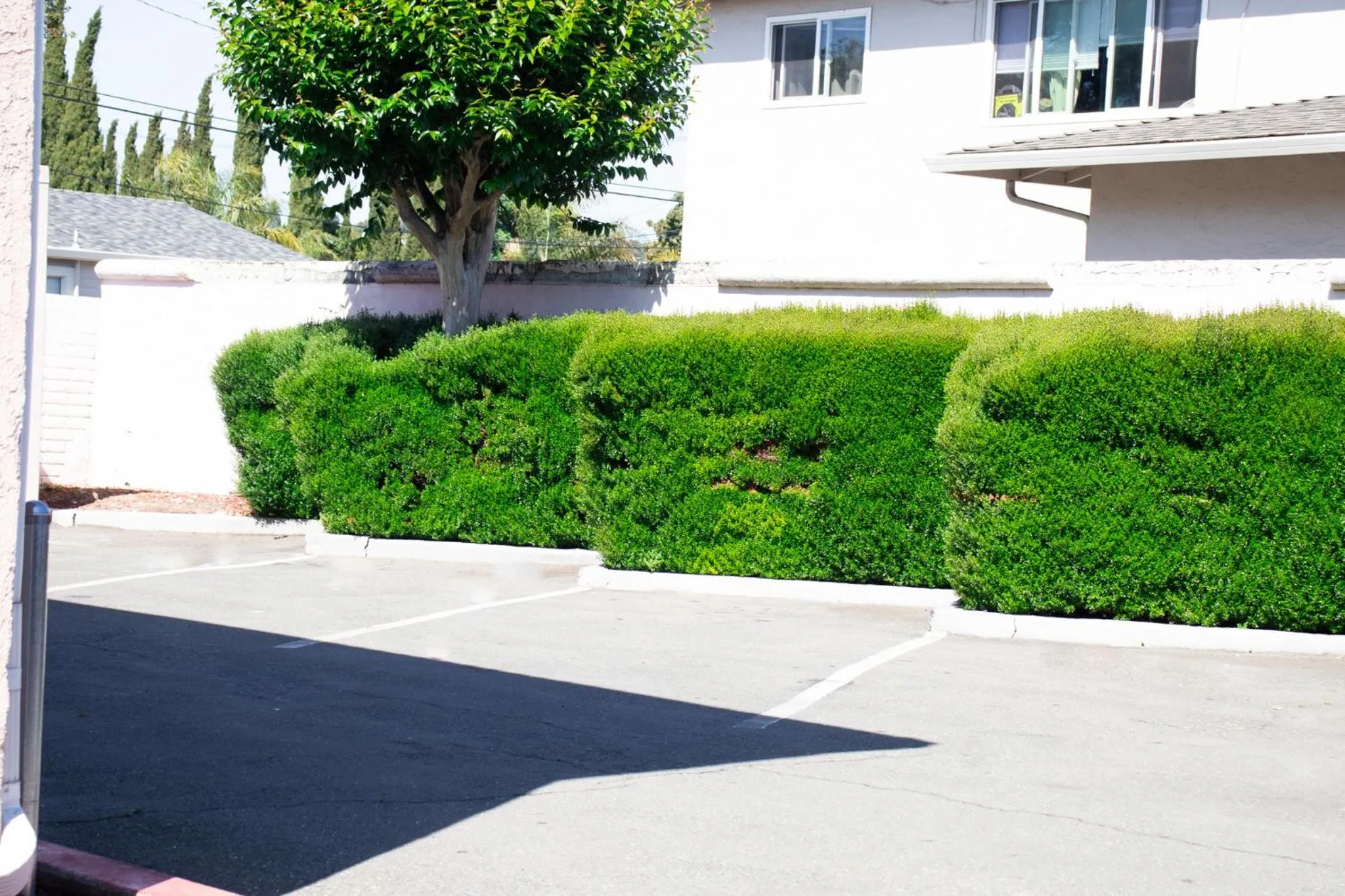 Garden in Discovery Inn
