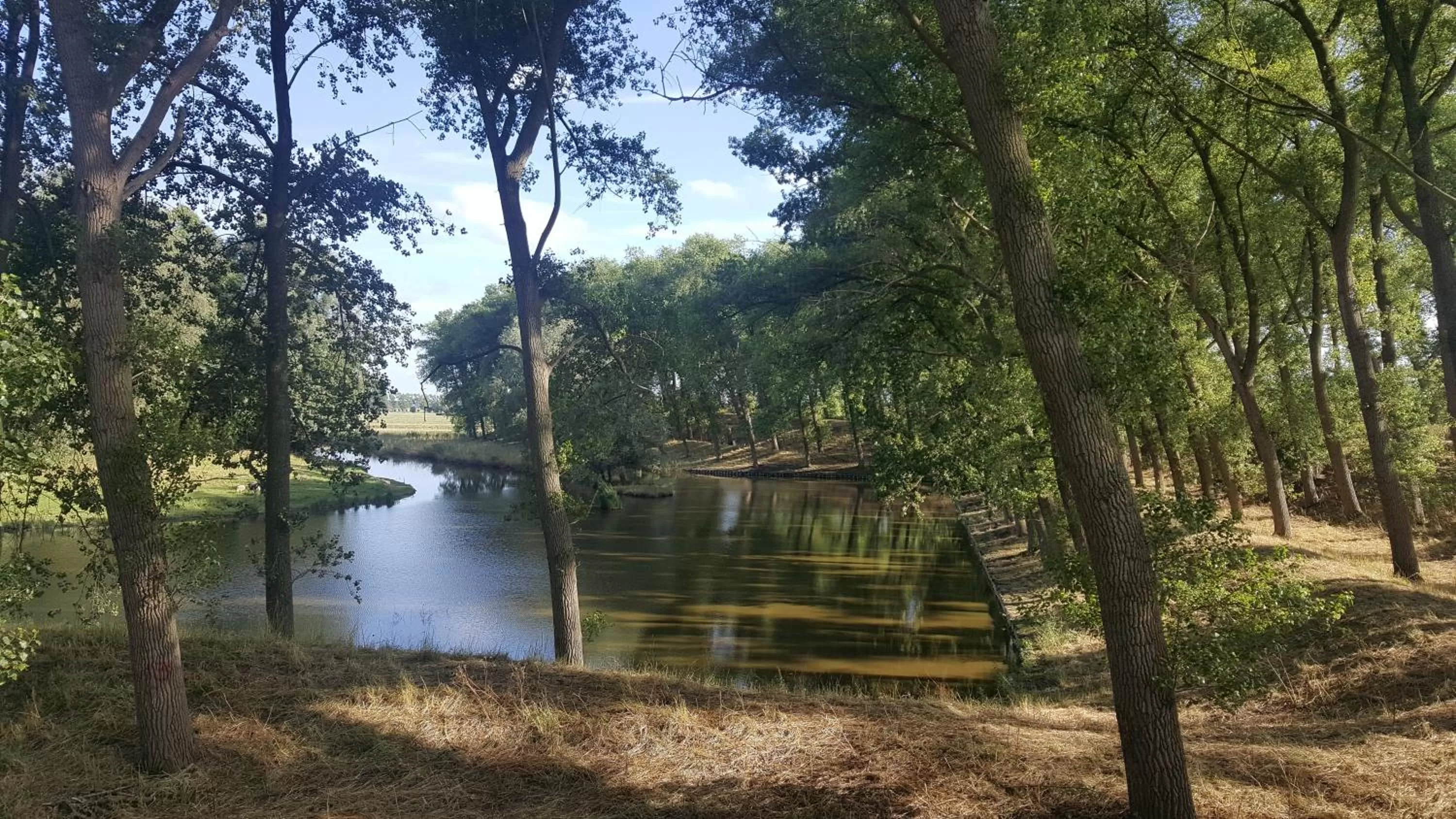 Natural landscape in Hotel Le Provencal
