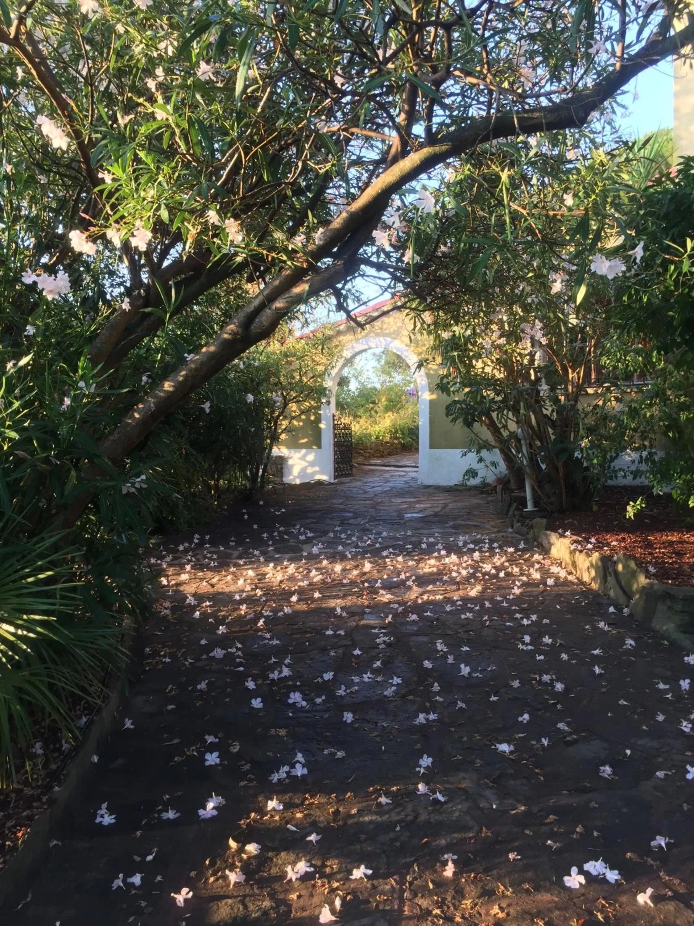 Spring in Hôtel Paradis