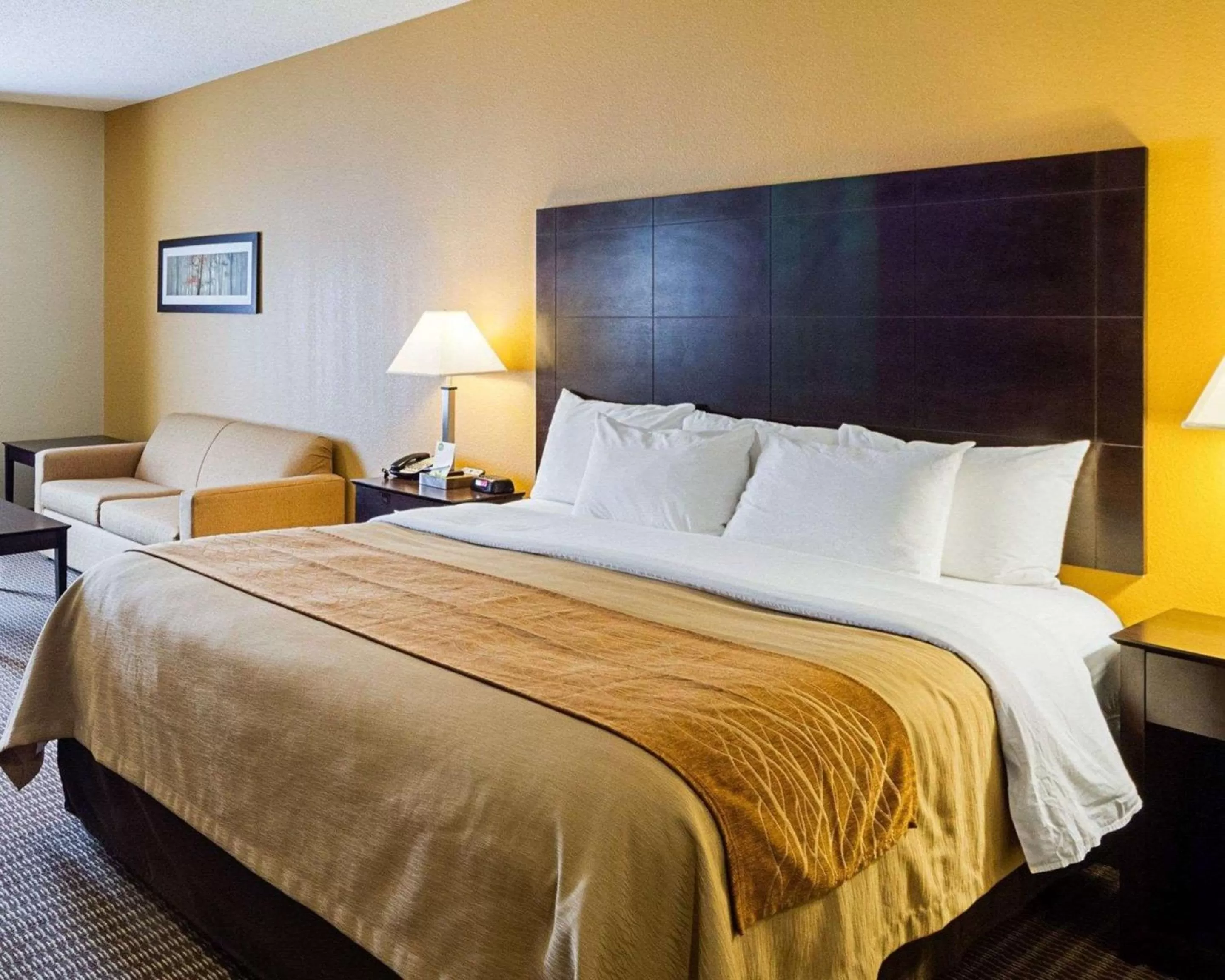 King Room - Accessible/Non-Smoking in Comfort Inn & Suites Burnet