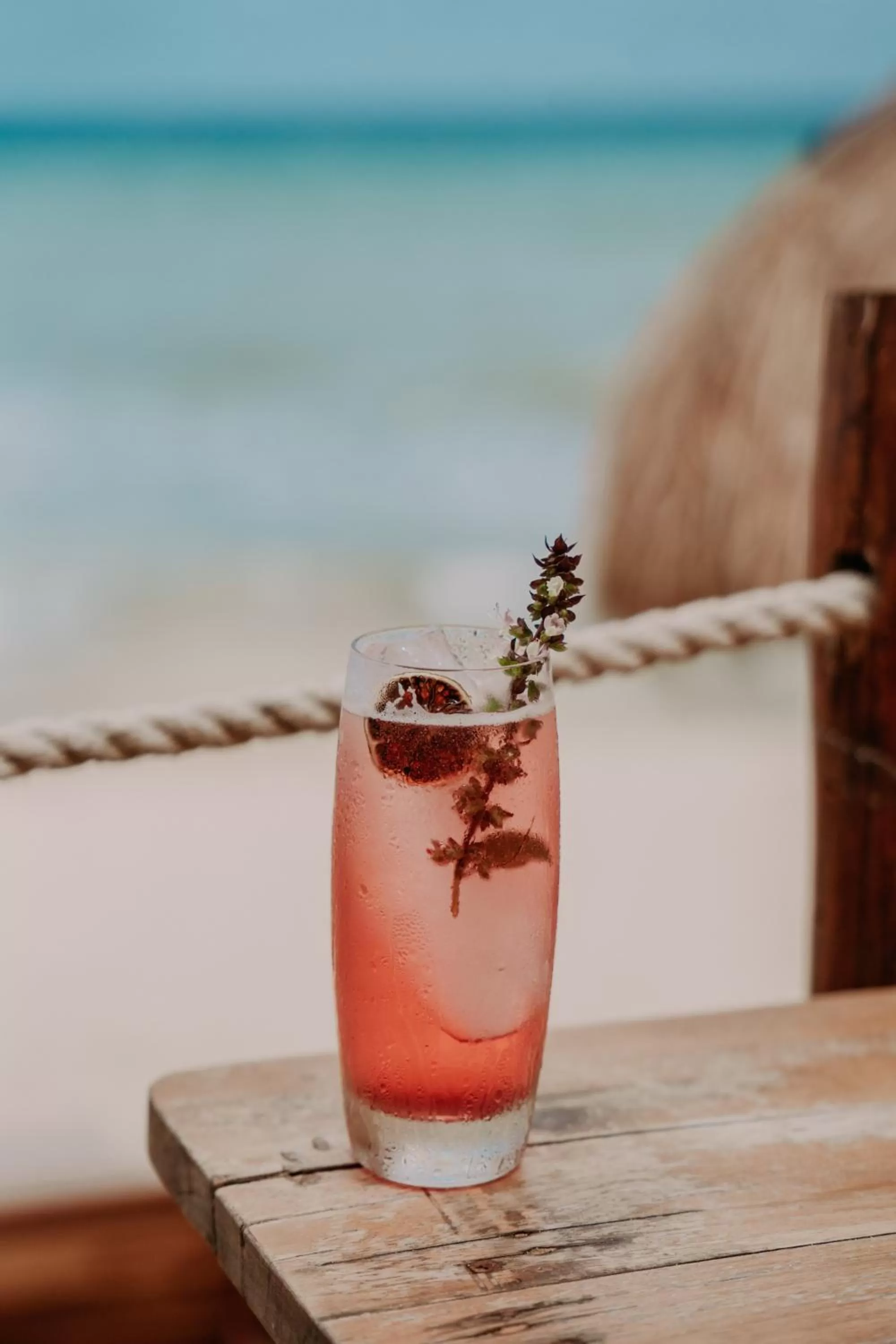 Drinks in Petit Lafitte Beach Front Hotel & Bungalows