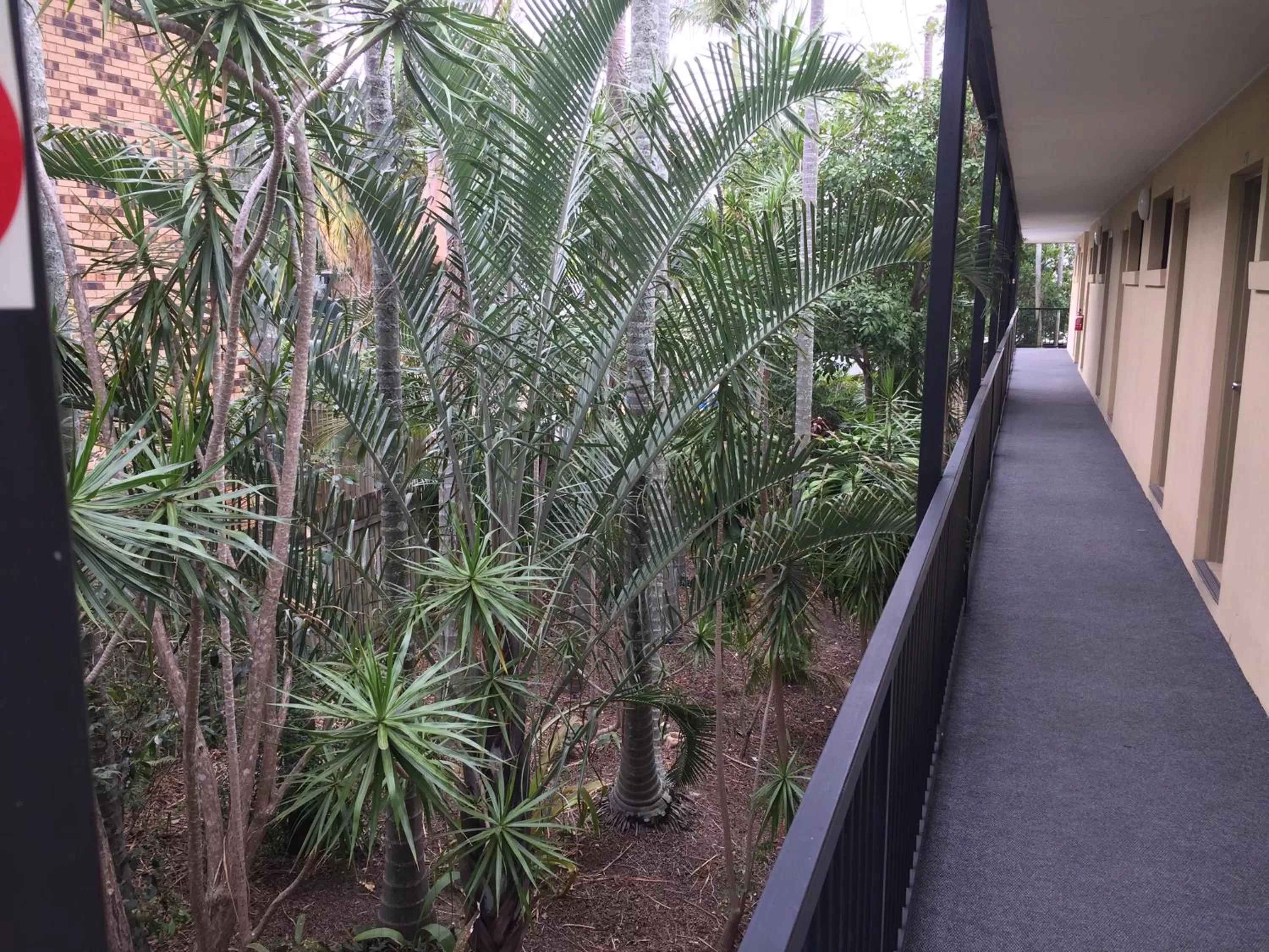 Balcony/Terrace in Best Western Airport 85 Motel