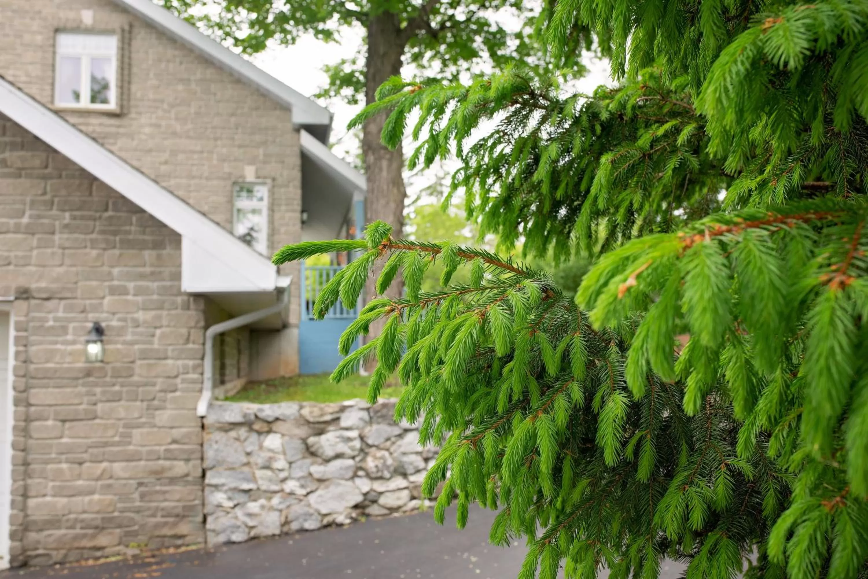 Property Building in Rock Hill Bed & Breakfast