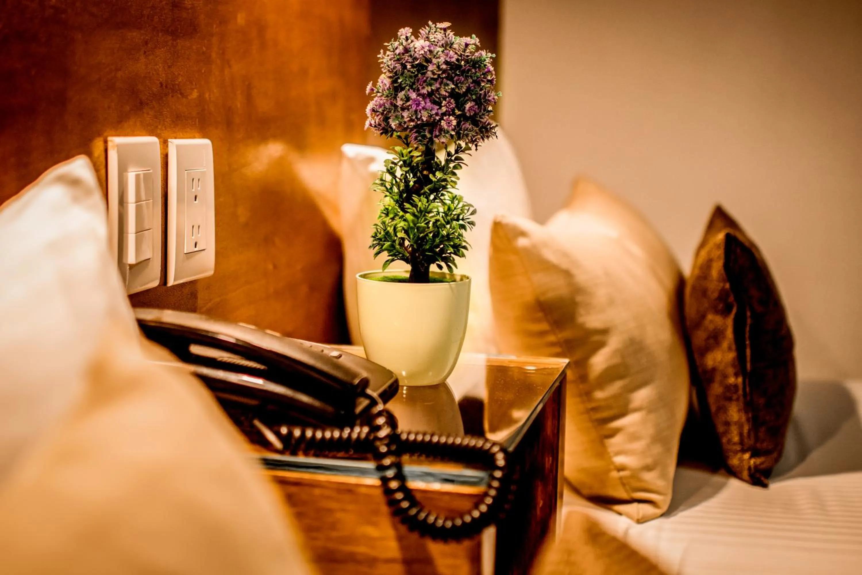 Bed in Hotel del Carmen, en el Centro- DESAYUNO Incluido !