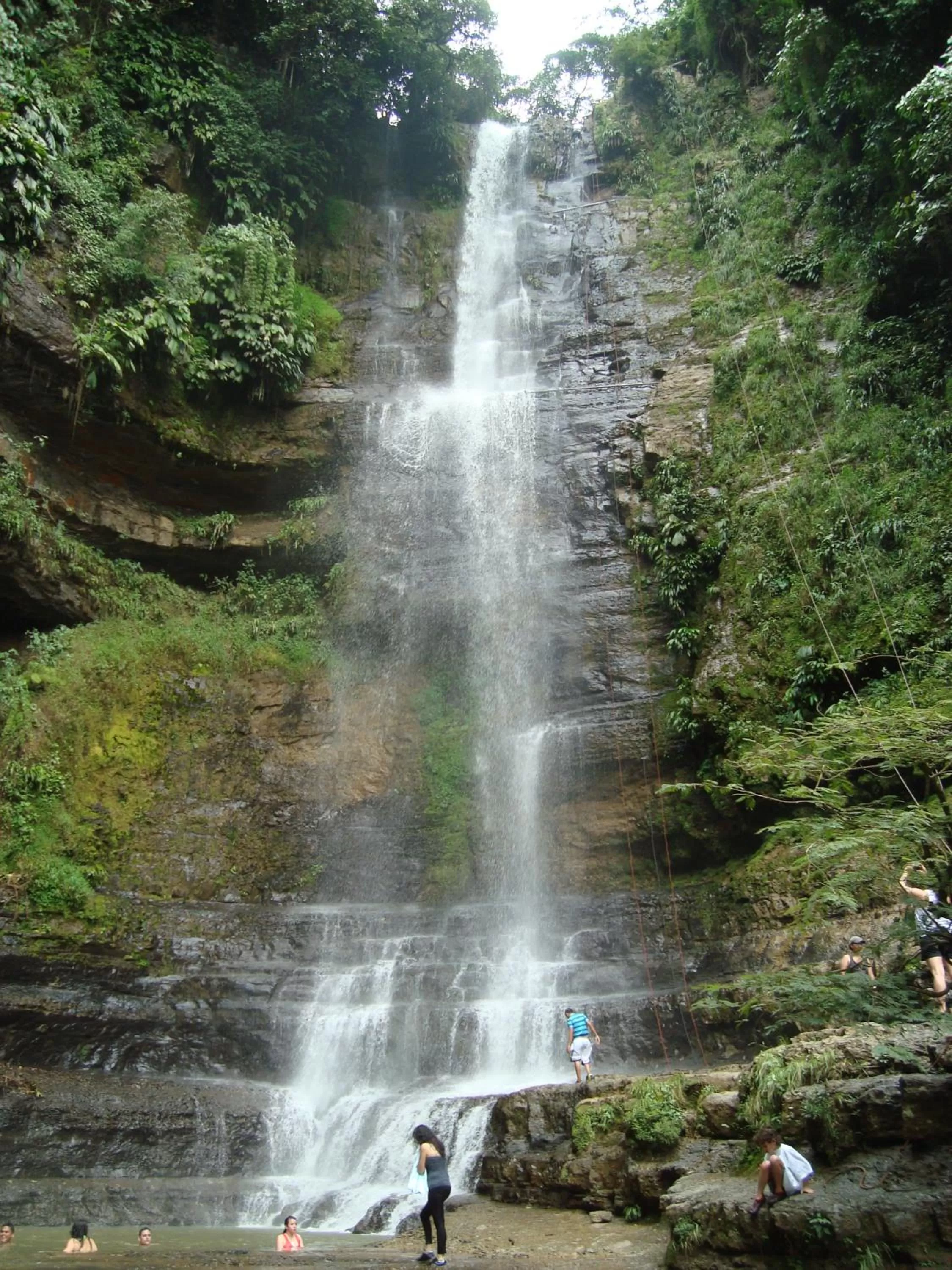 Natural Landscape in Hotel Centro Real